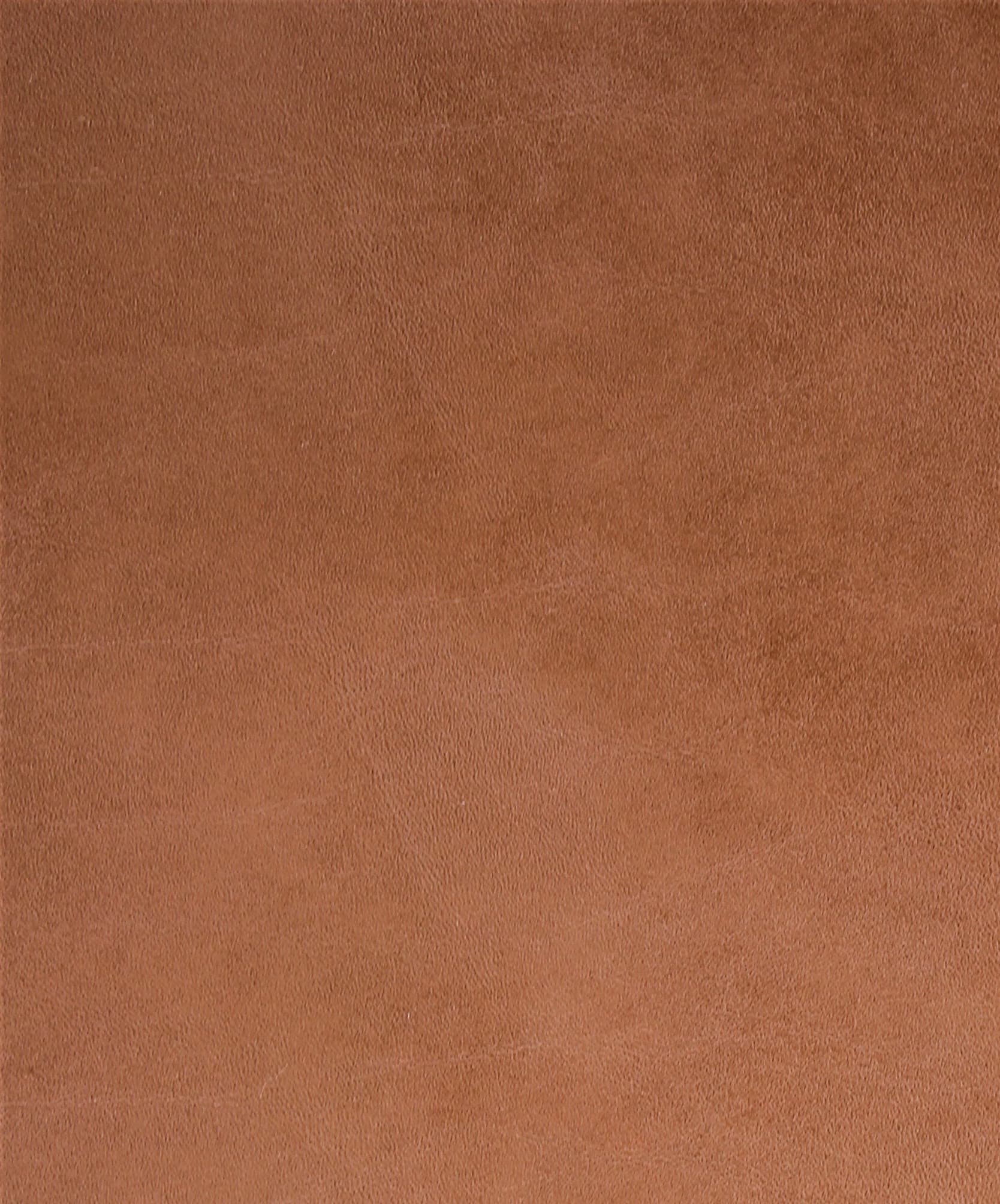Toro · TORO-CAMEL
