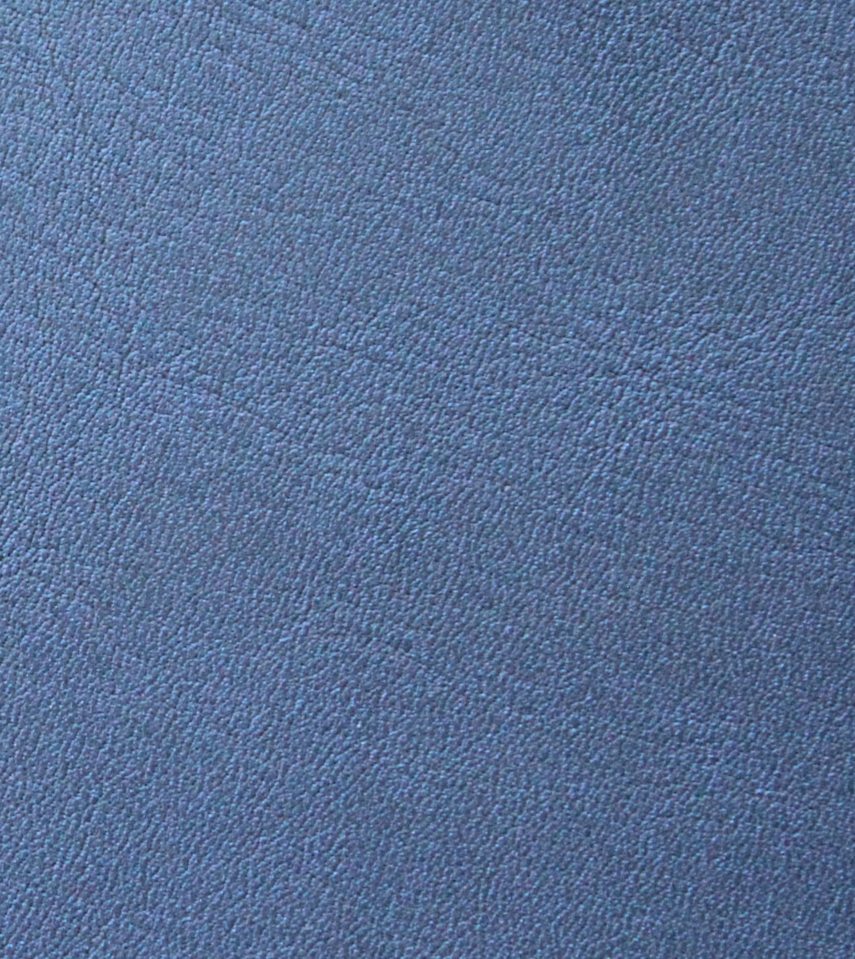 Mona · DS-BLUE