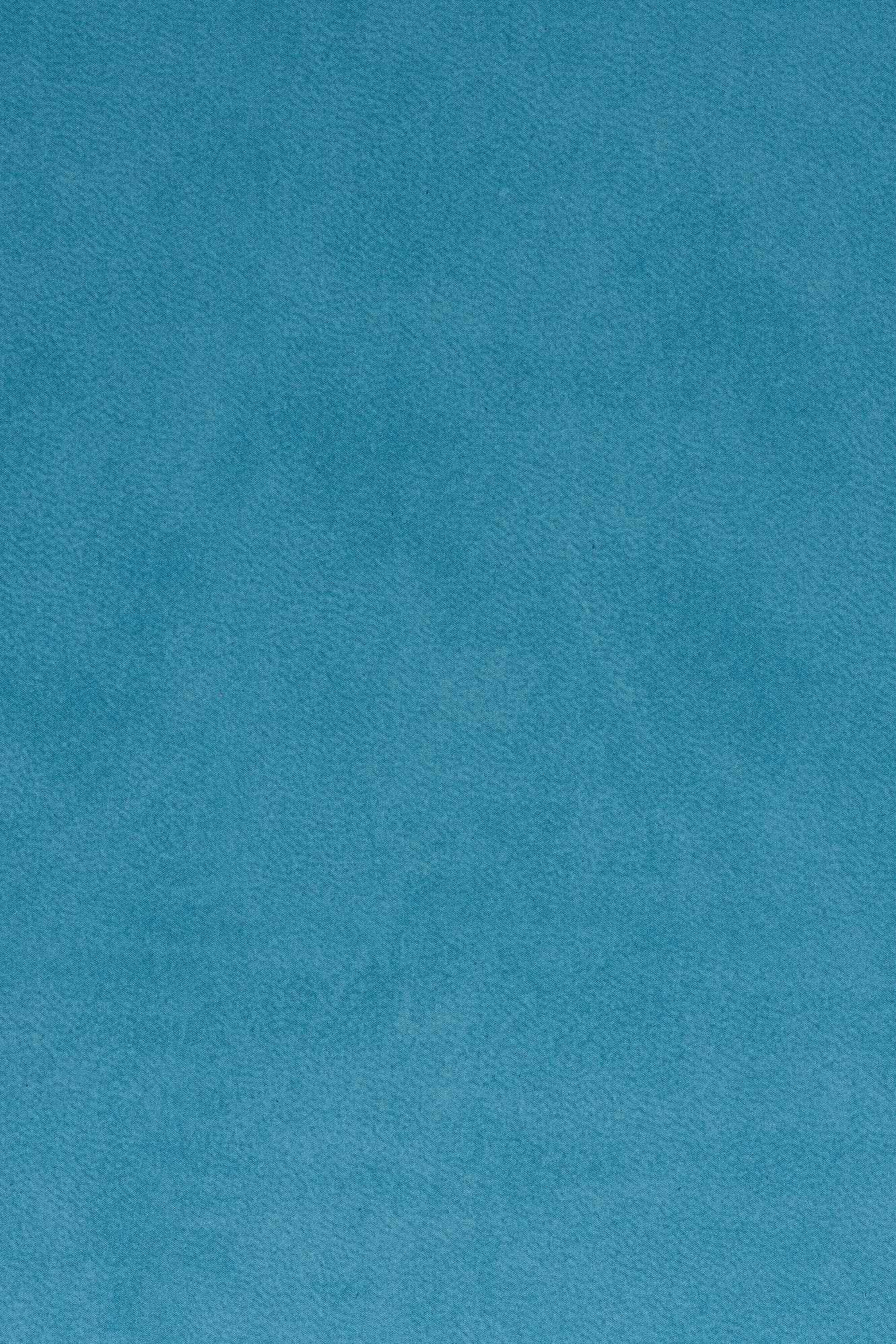 Plain
