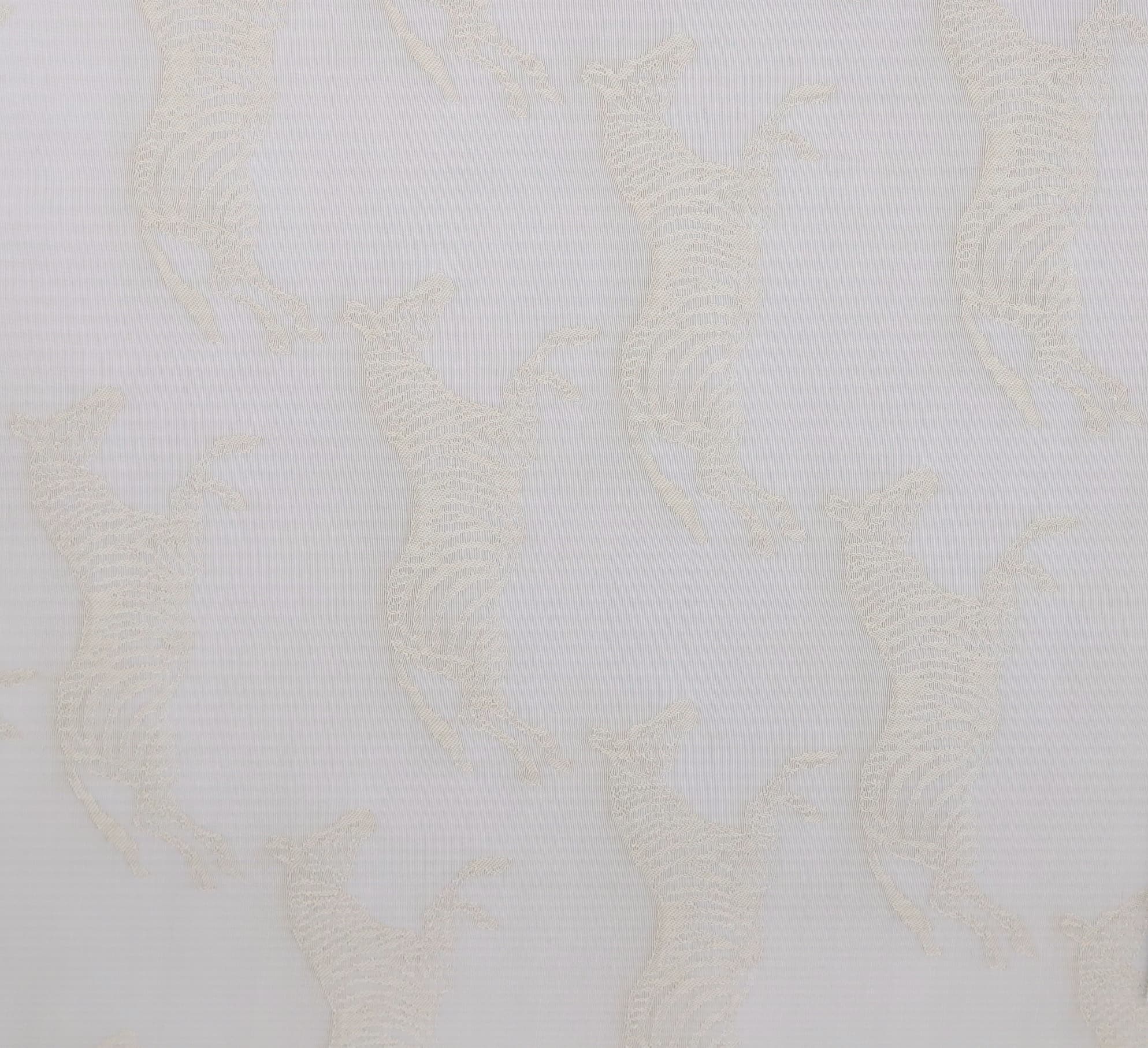ZEBRA · R-3876