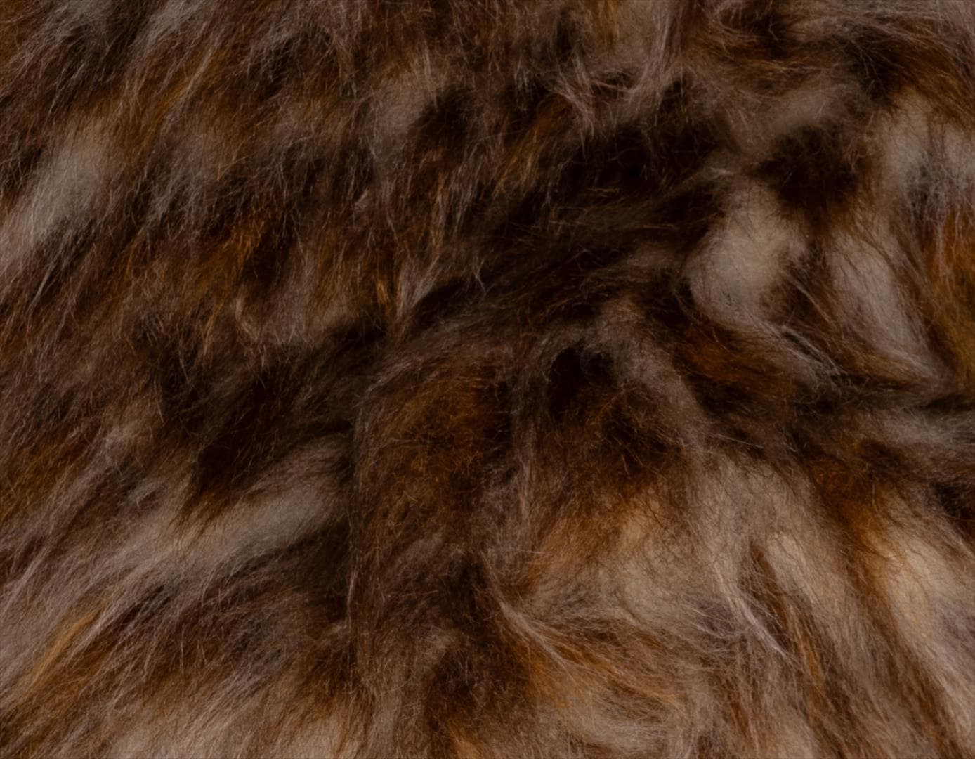 TİLKİ LEOPAR 2