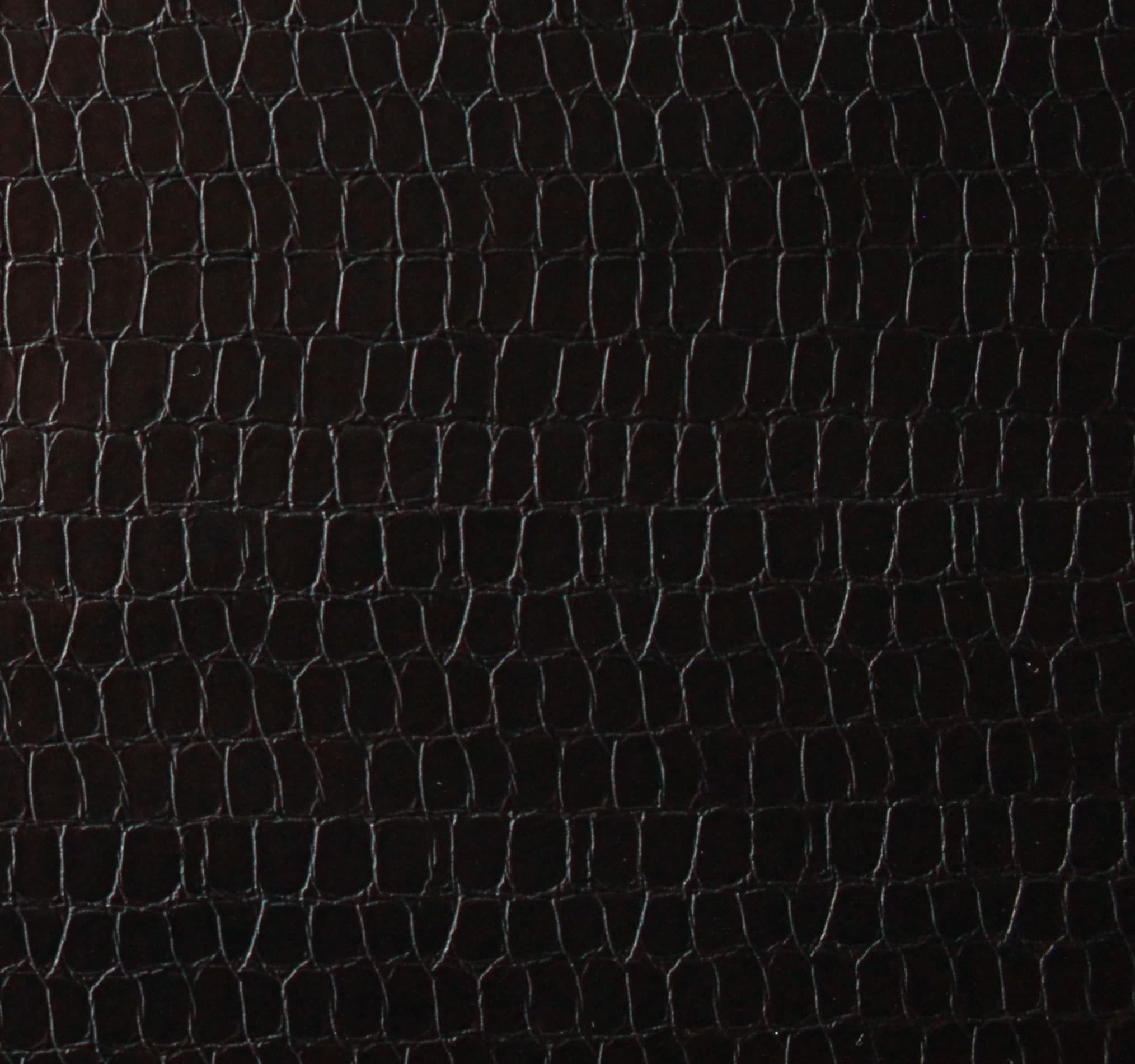Vigo · CN-BLACK