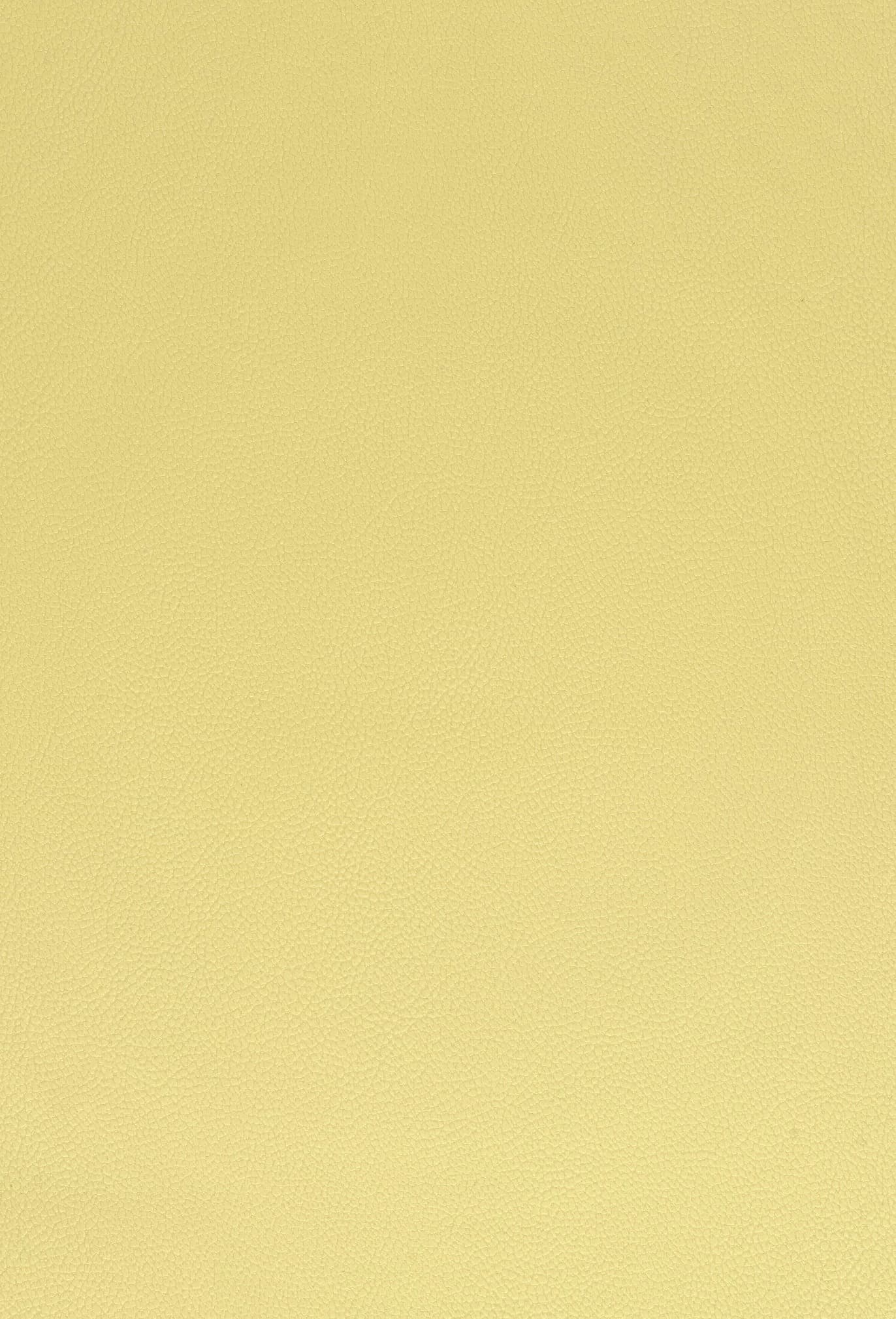 PES Aztek