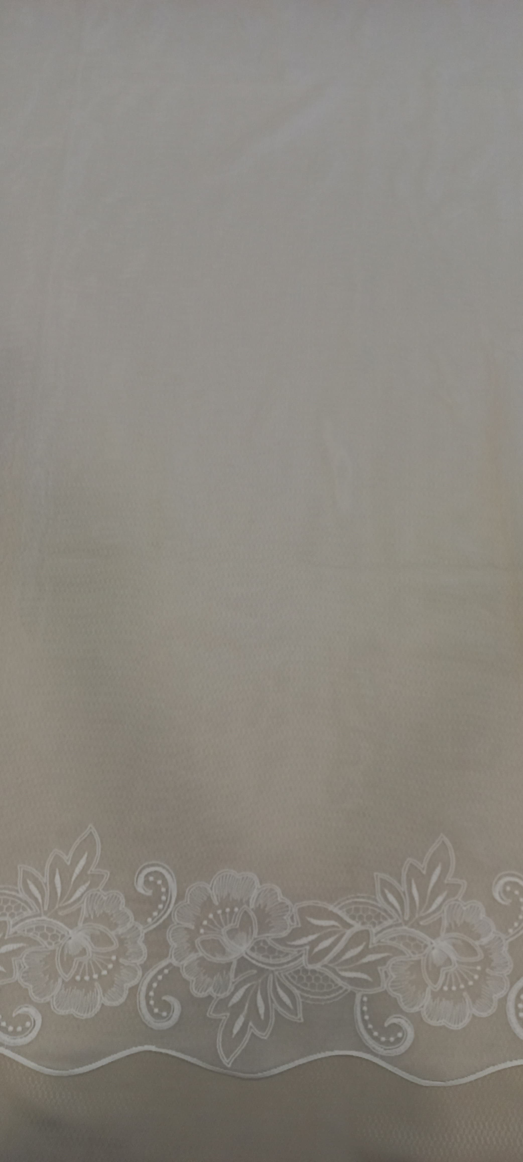 P1-51447-22-SRO · S001-T01