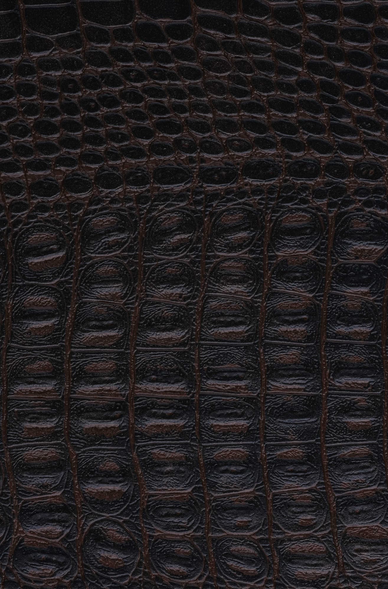 NW Crocoshine · 3407 K. Kahverengi