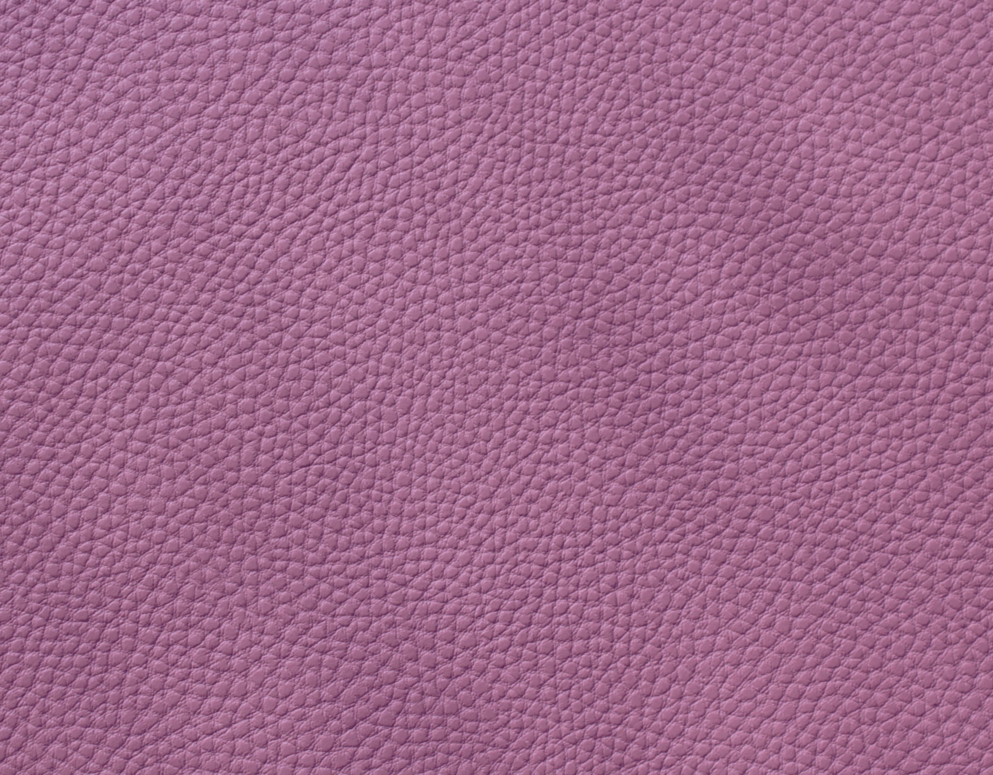 Furla · CN-27498