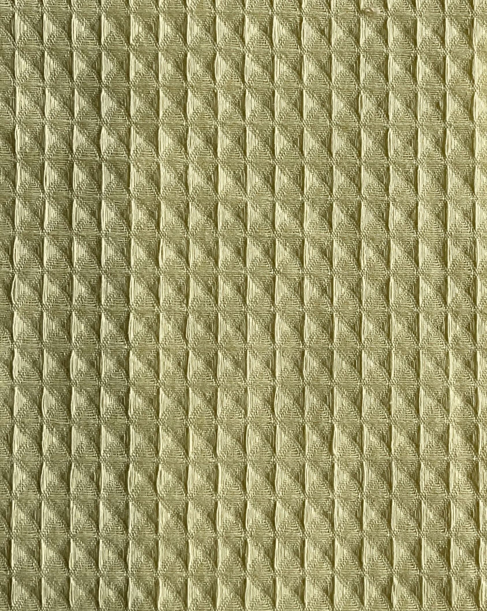 Dorellora