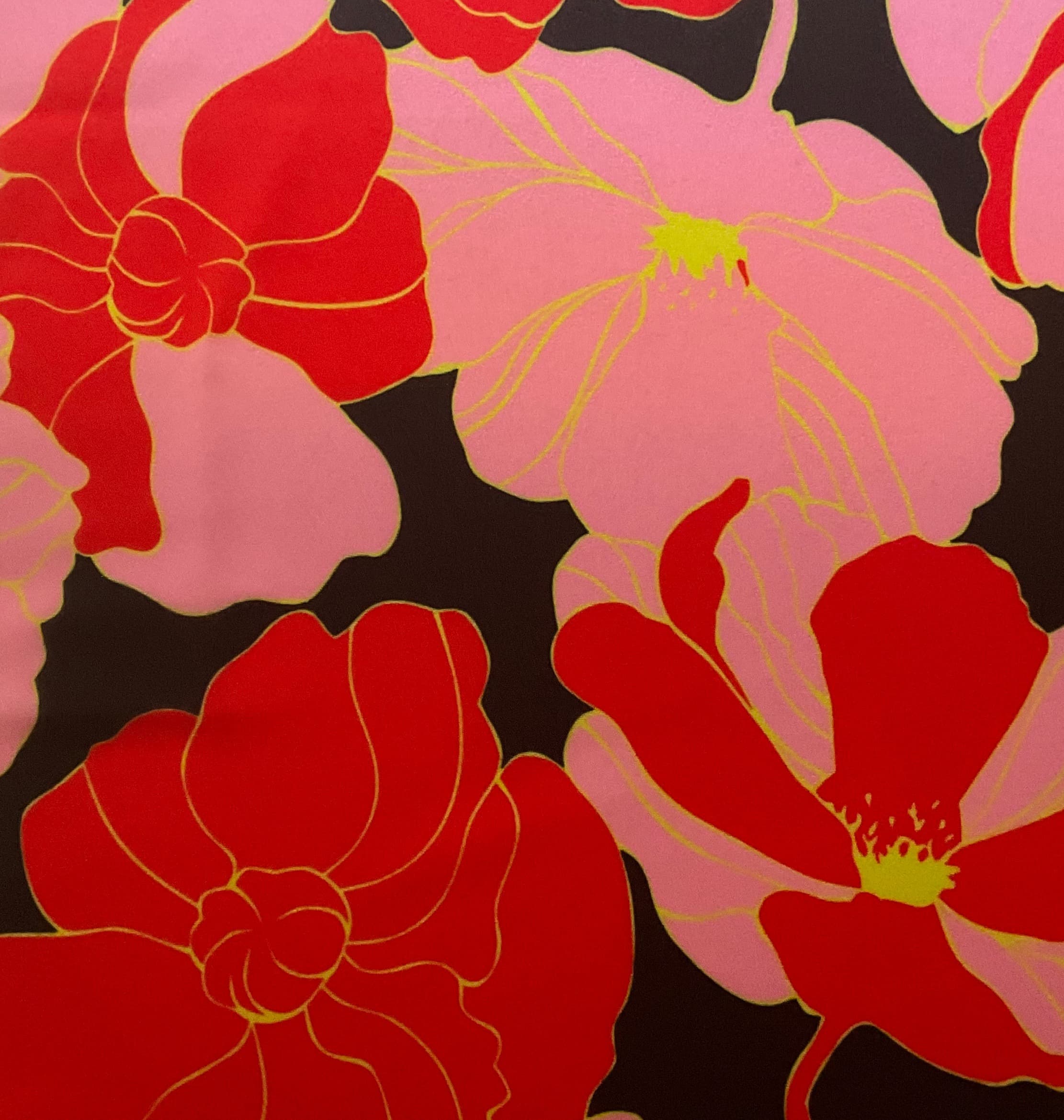 Delgada · Red