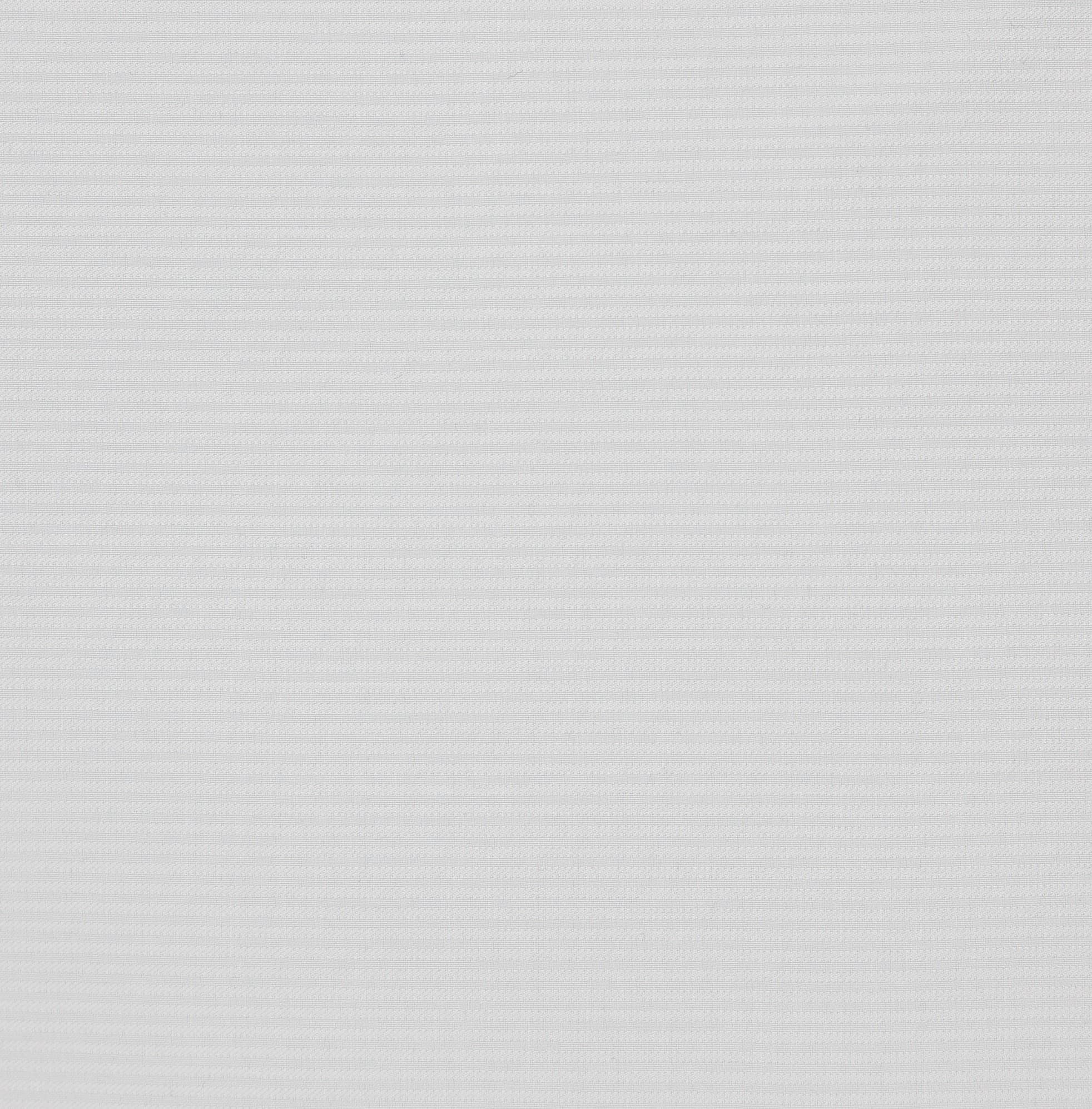 HYBISCUS 01 · V 00