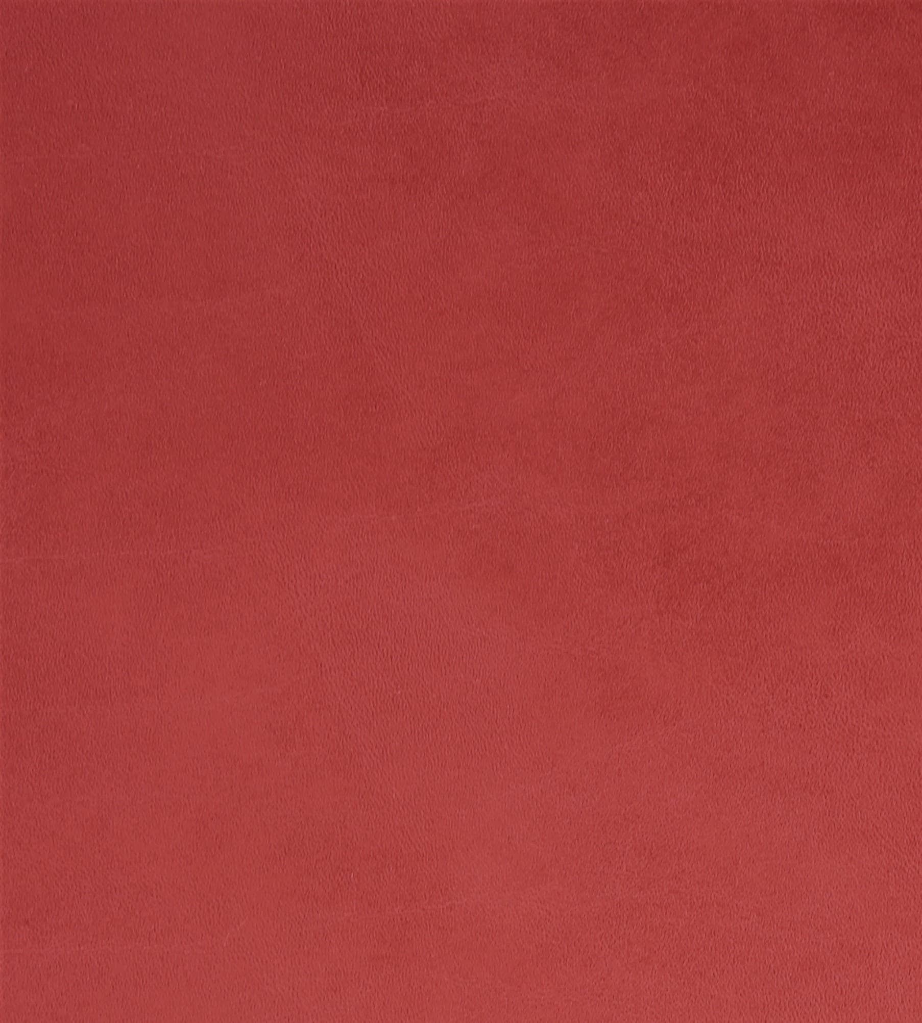 Toro