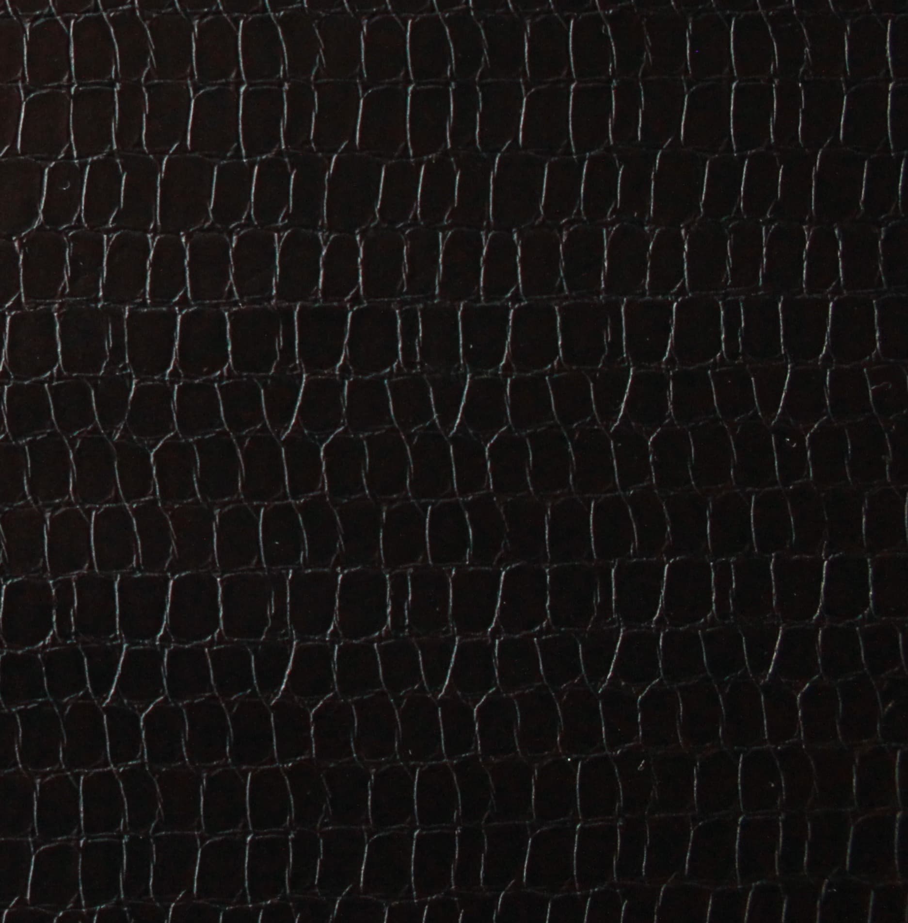 Vigo · AY-BLACK
