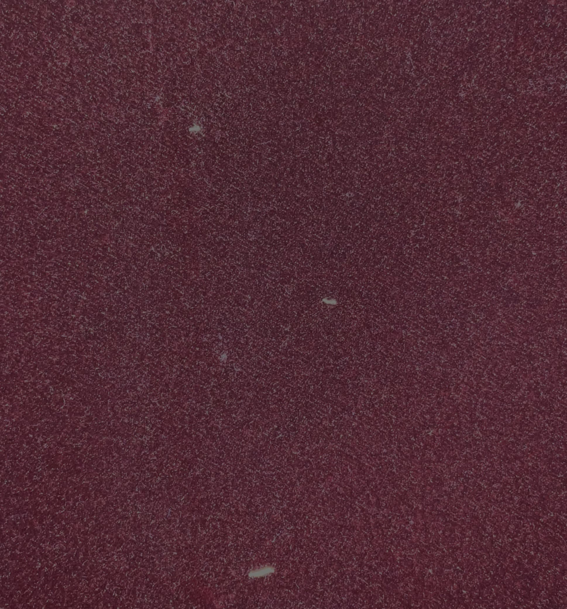 Thiembronne