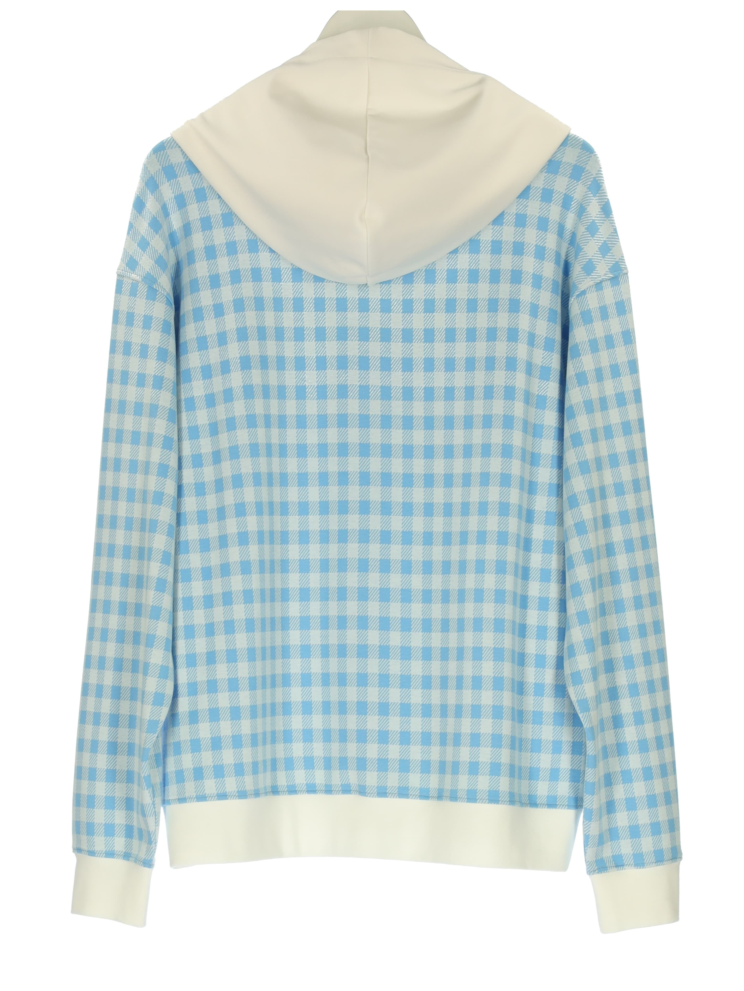 EMBROIDERED HOODED SWEATSHIRT 2