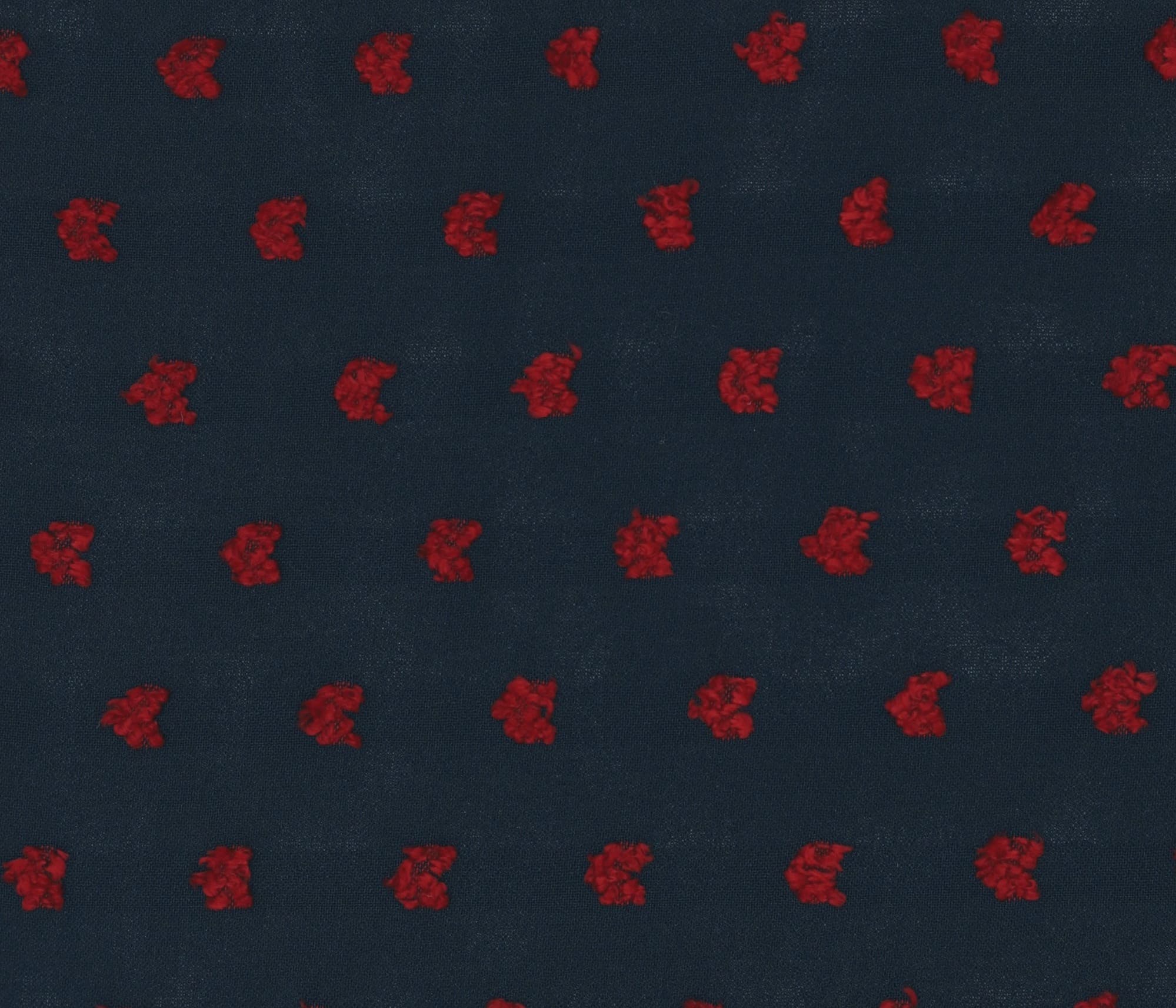 CROP TIERRA 02