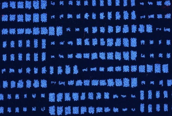 Wool/Polyester 