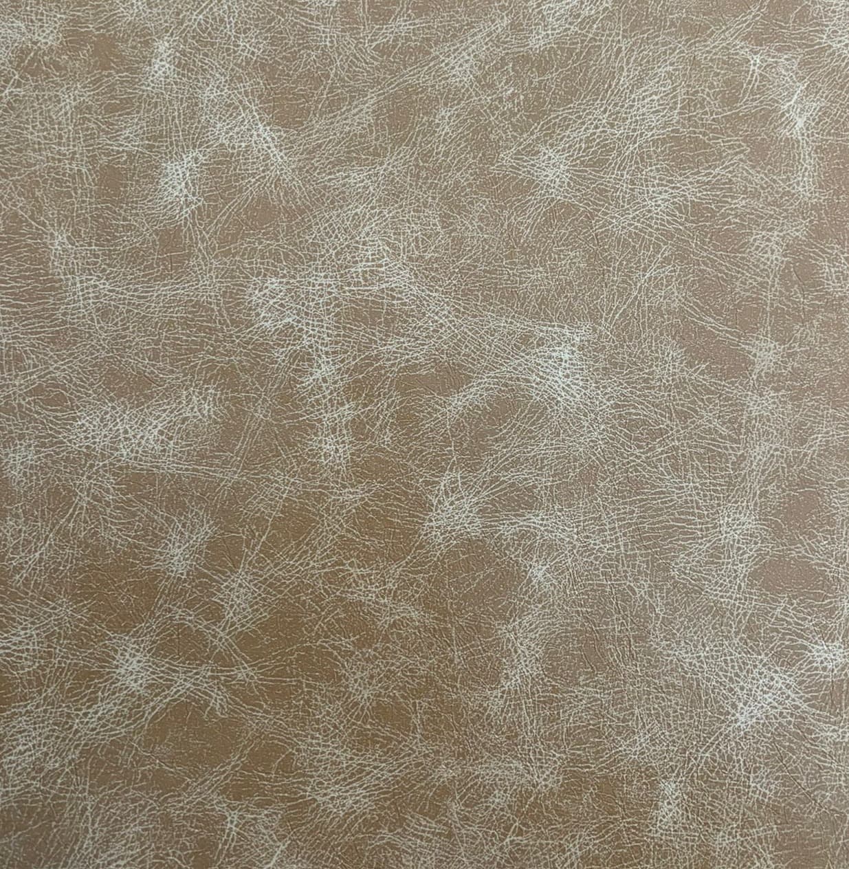 Lucid · AY-CREAM