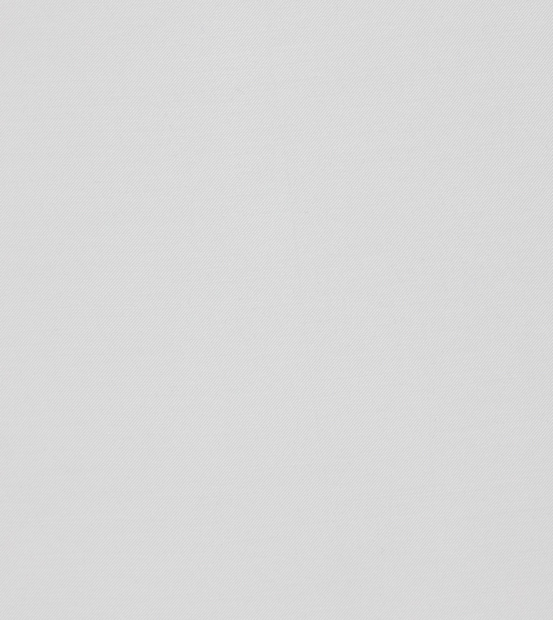 HYBISCUS 02 · V 00