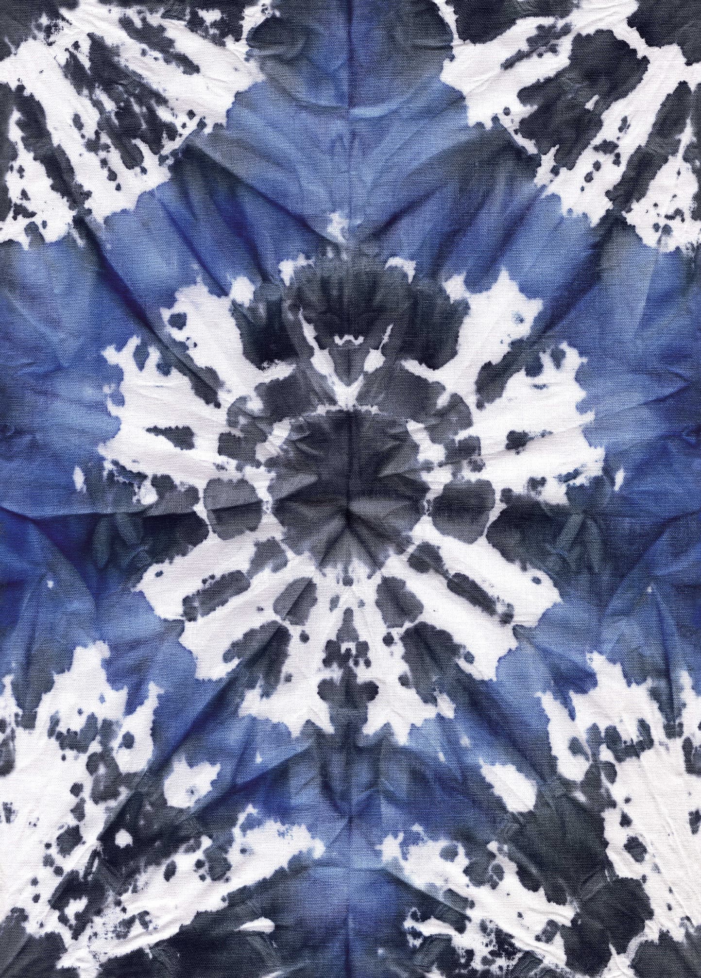 PRM00737 · V1