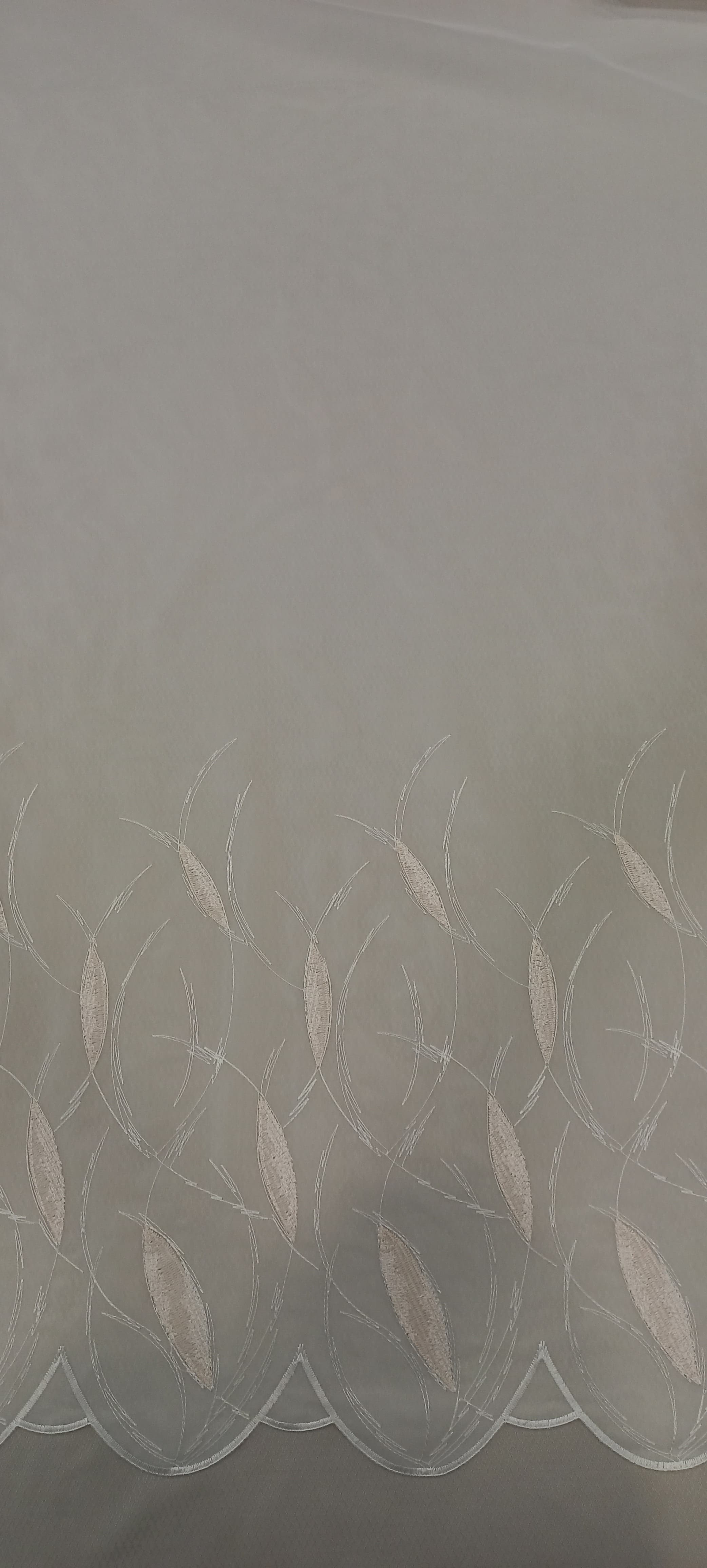 P1-224173-50-O