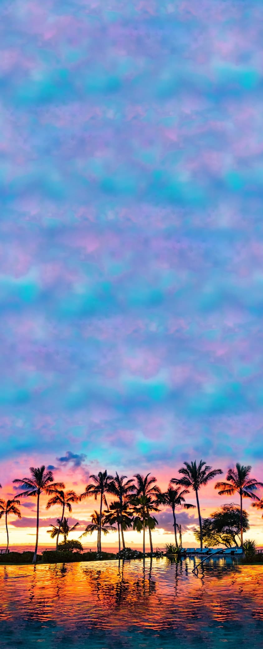 PRM00391 · V1