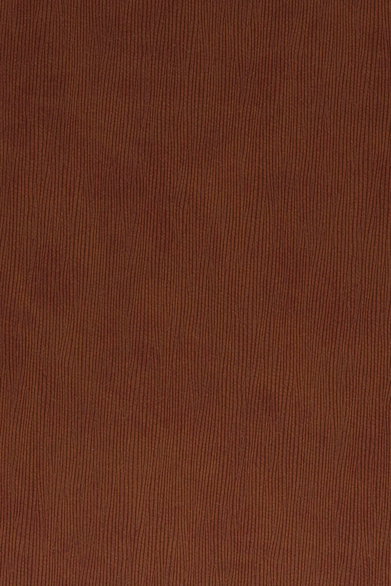 Lusia · 312 132 337