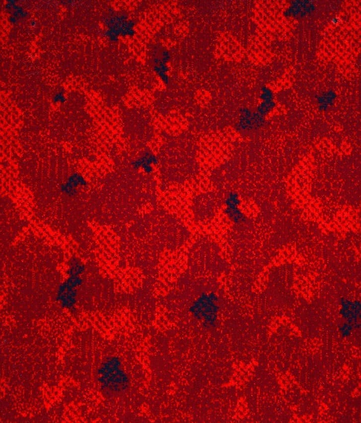 POLYESTER/KDK  · 2883