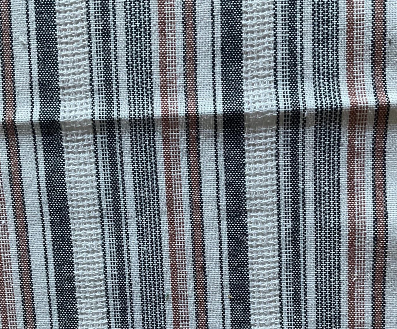Tribogna