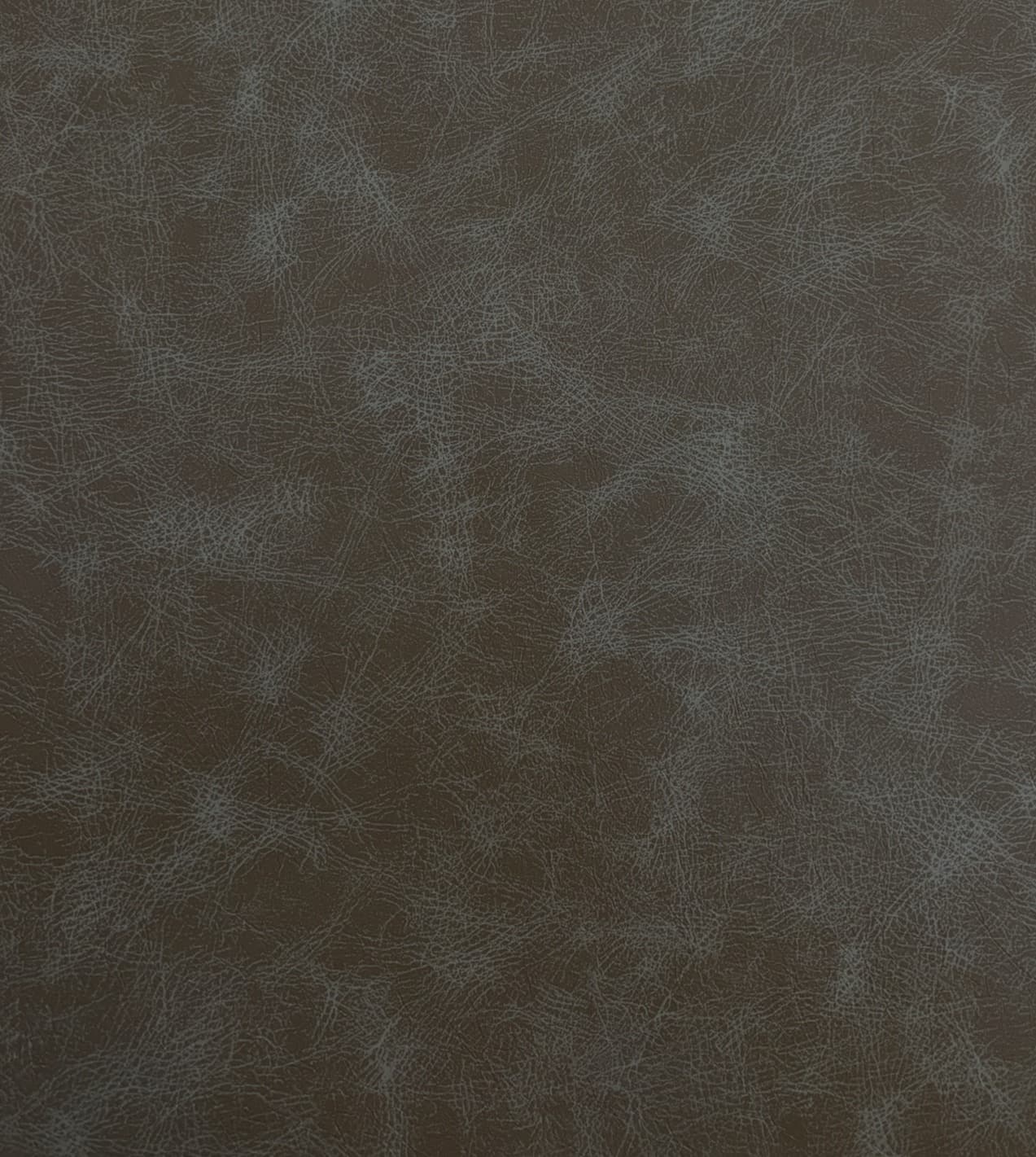 Lucid