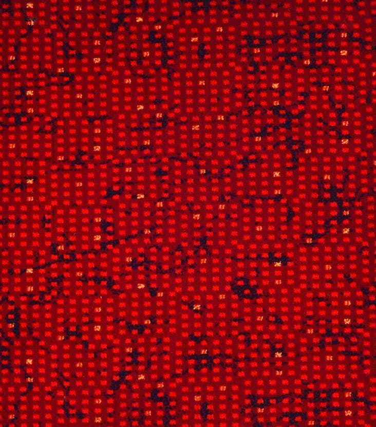POLYESTER/KDK  · 2883