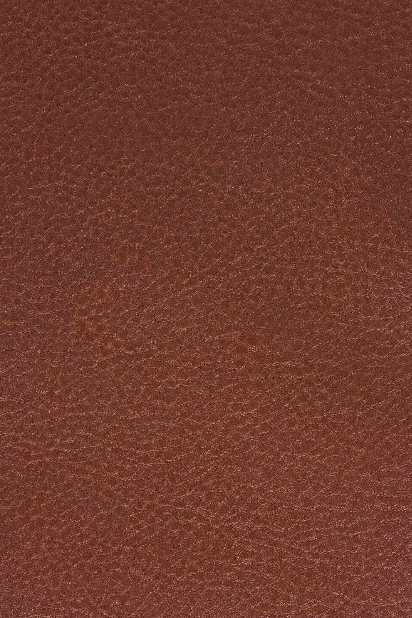 CP Future · 3940 Camel
