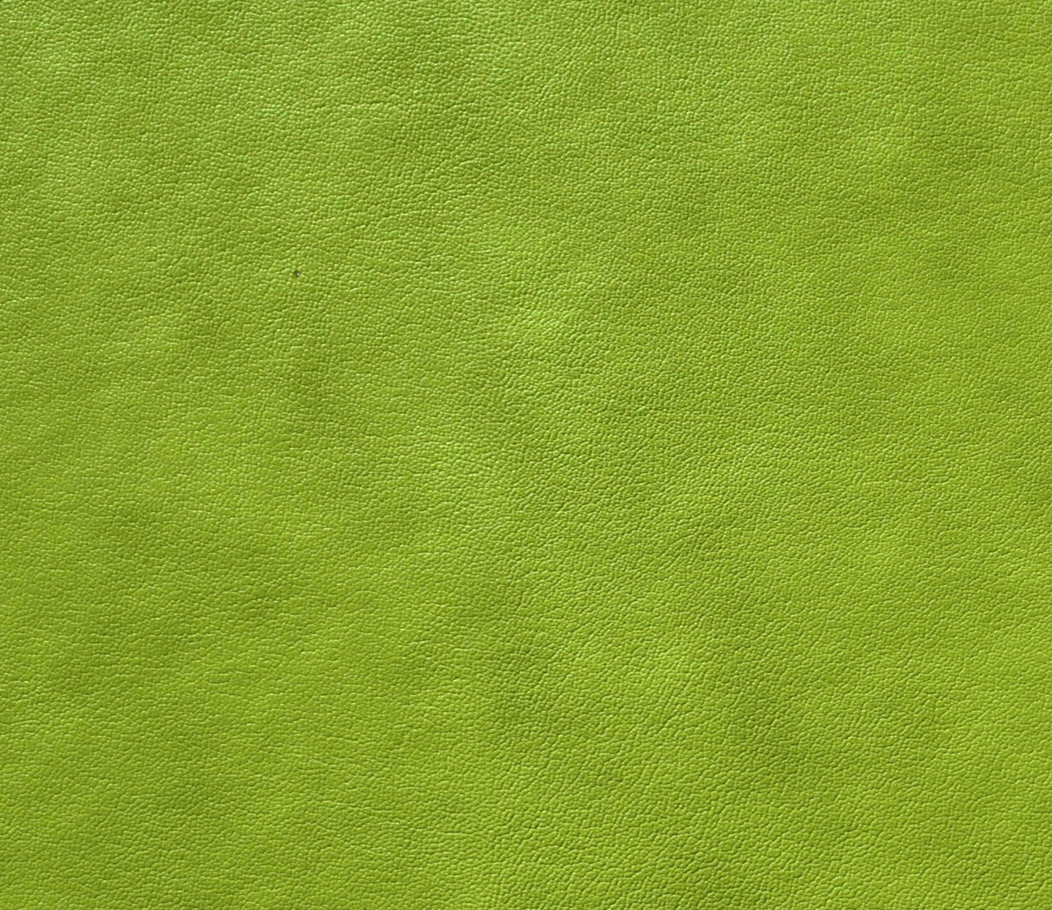 Zara · GY-GREEN