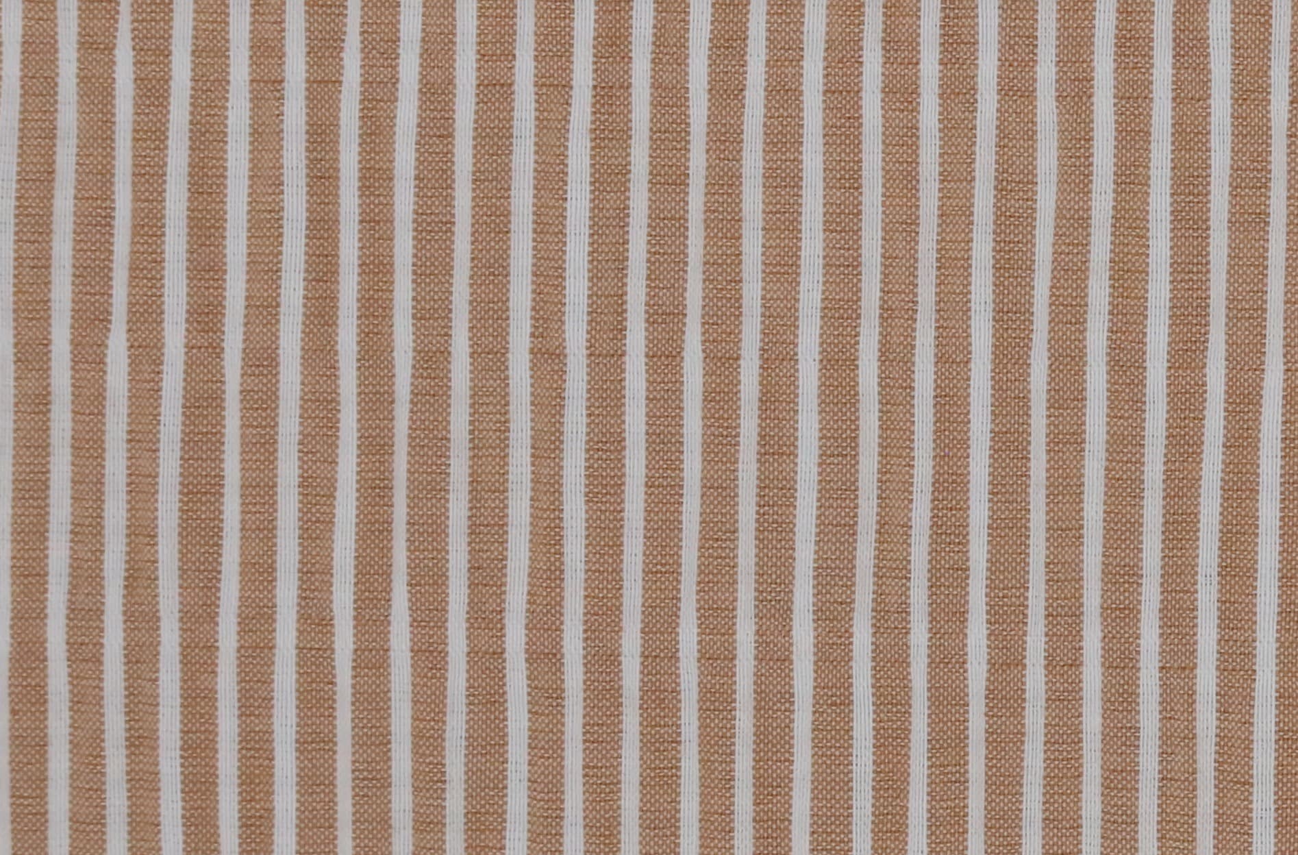 DIANDRA · V 100