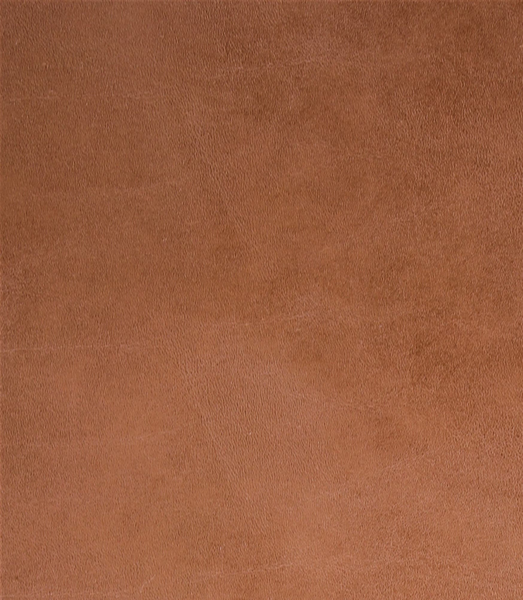 Toro · TORO-CAMEL