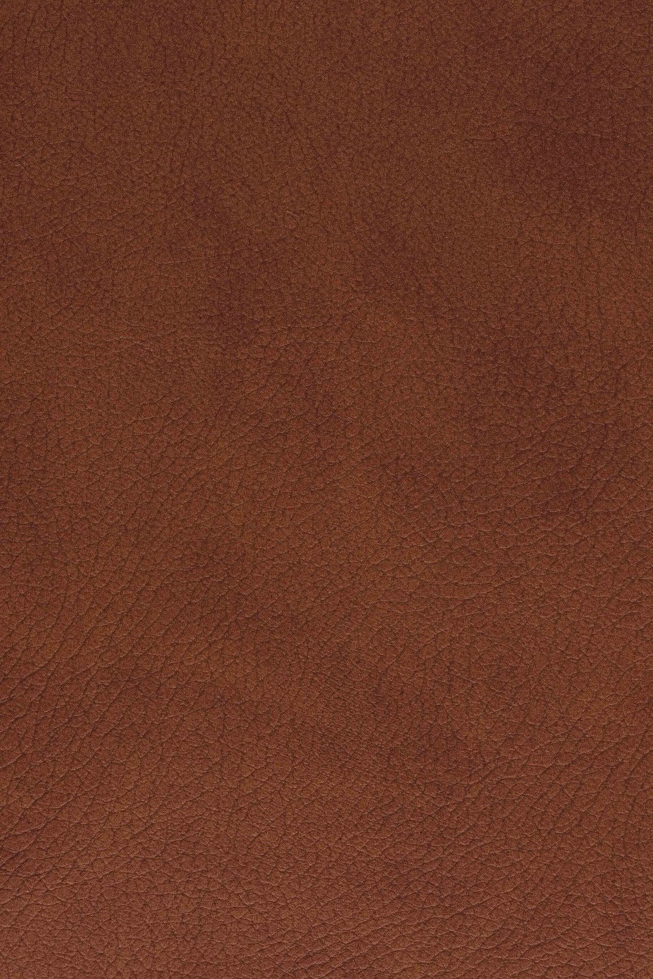 Korteks · 312 132 309