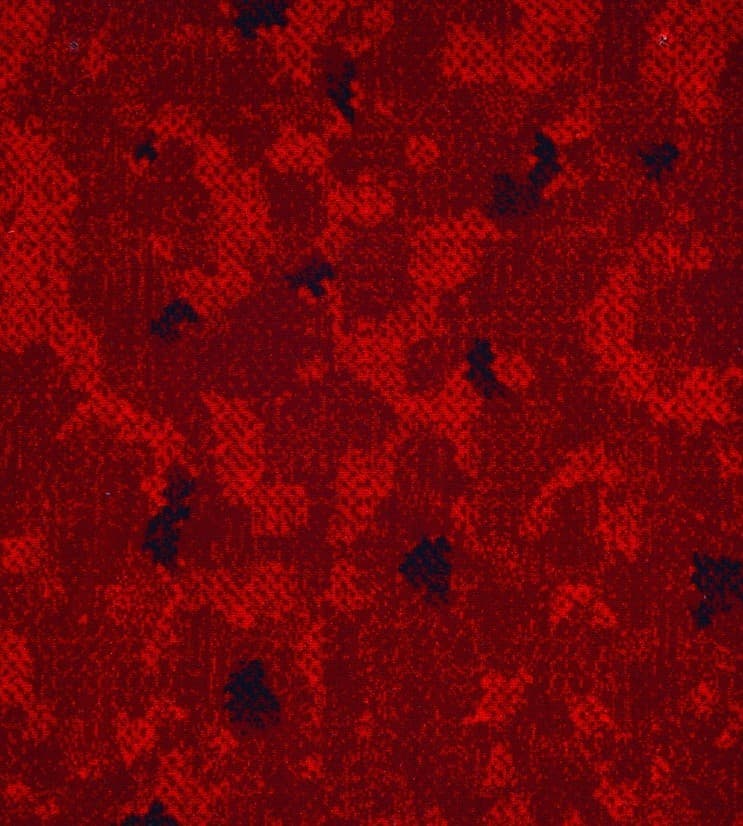 POLYESTER-LT  · 2885