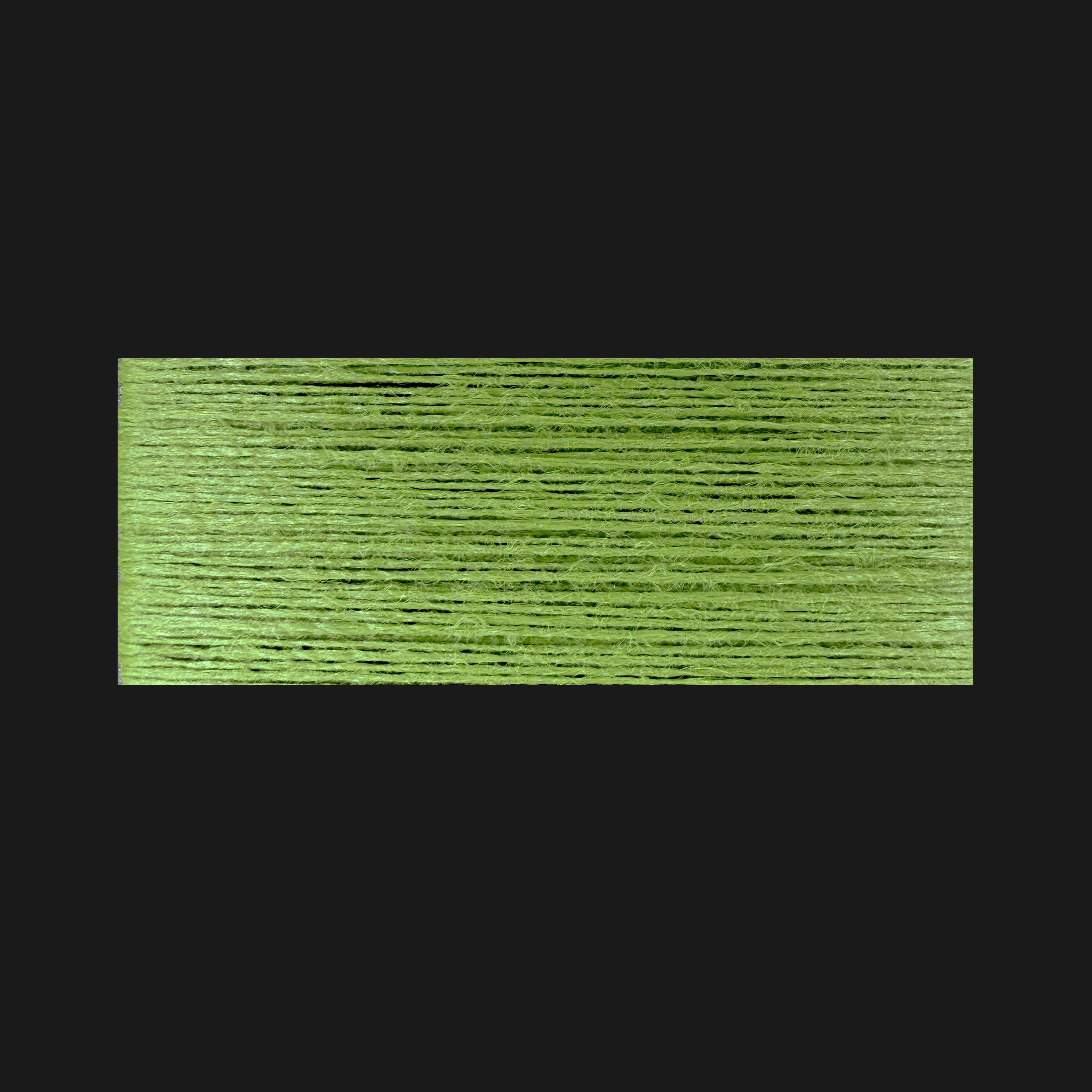 FR RENAT 300
