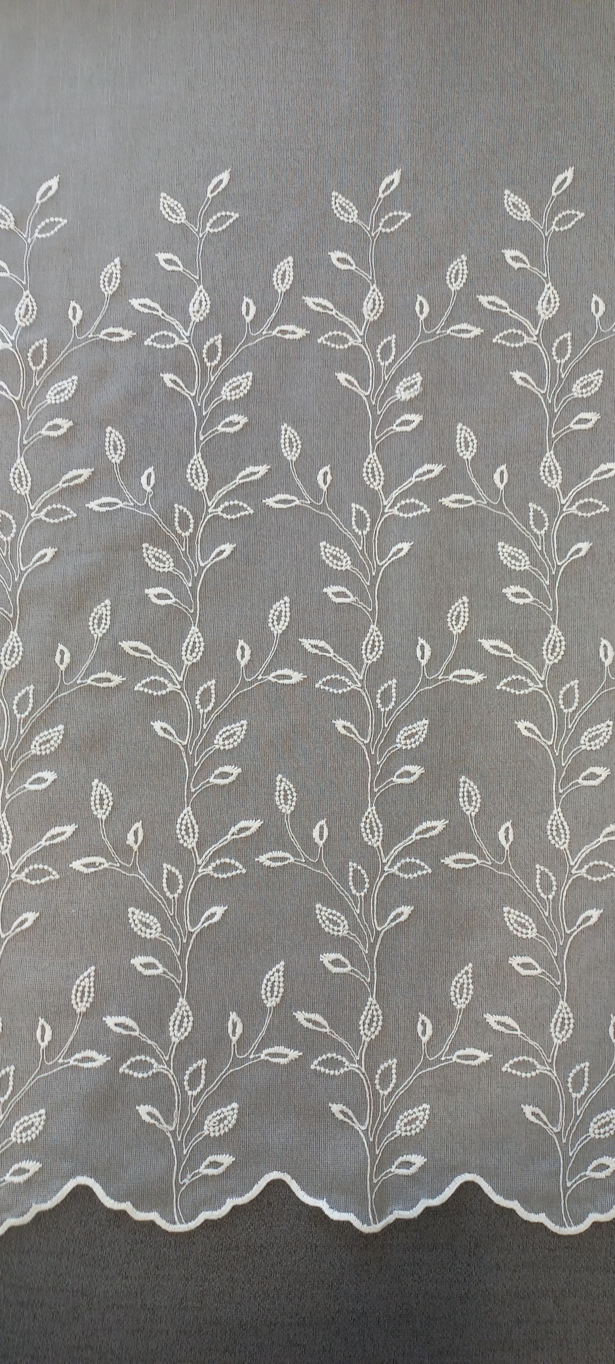 P1-17551-65-O · AFN268-T01