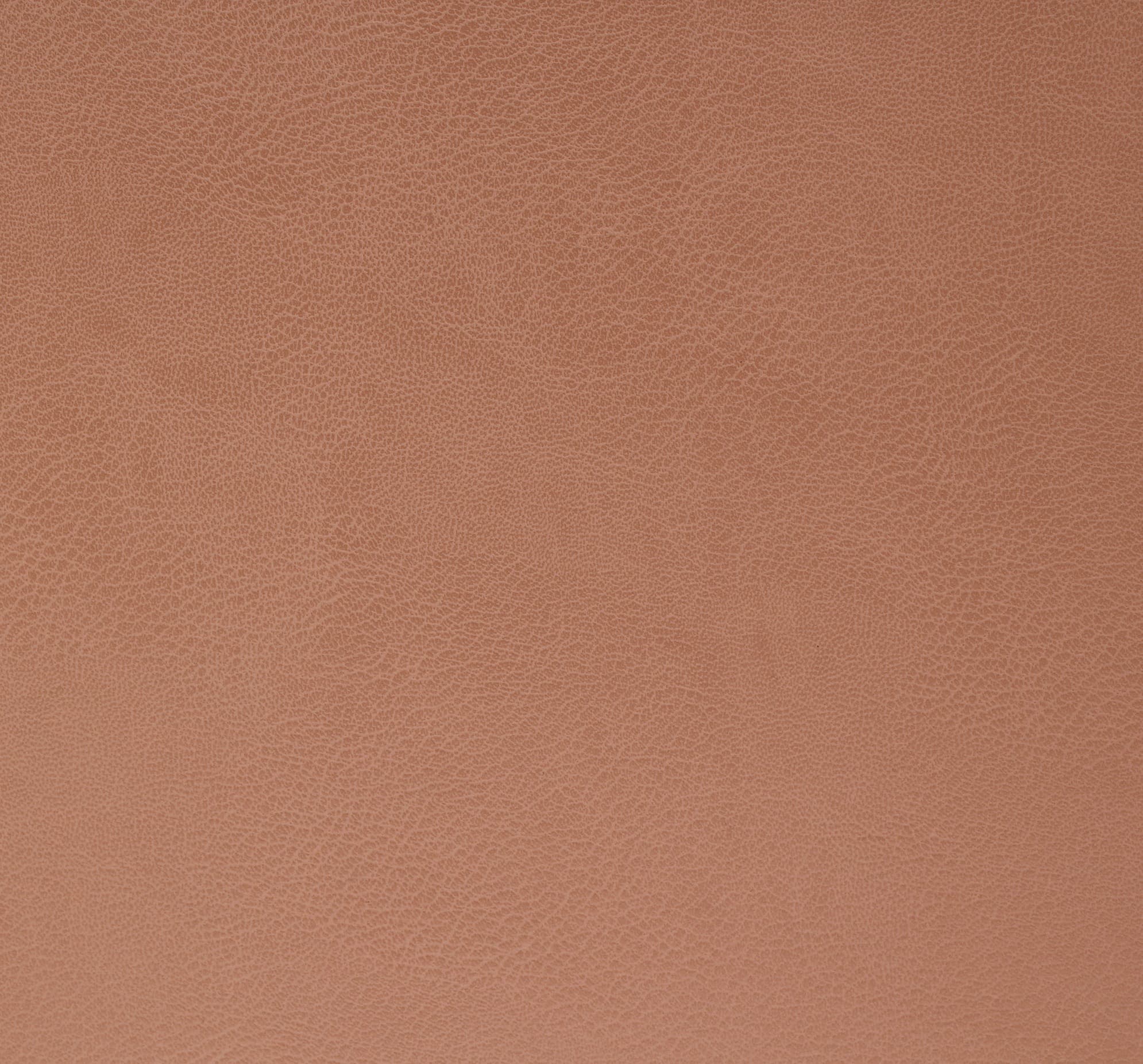 Dora · CN-24864