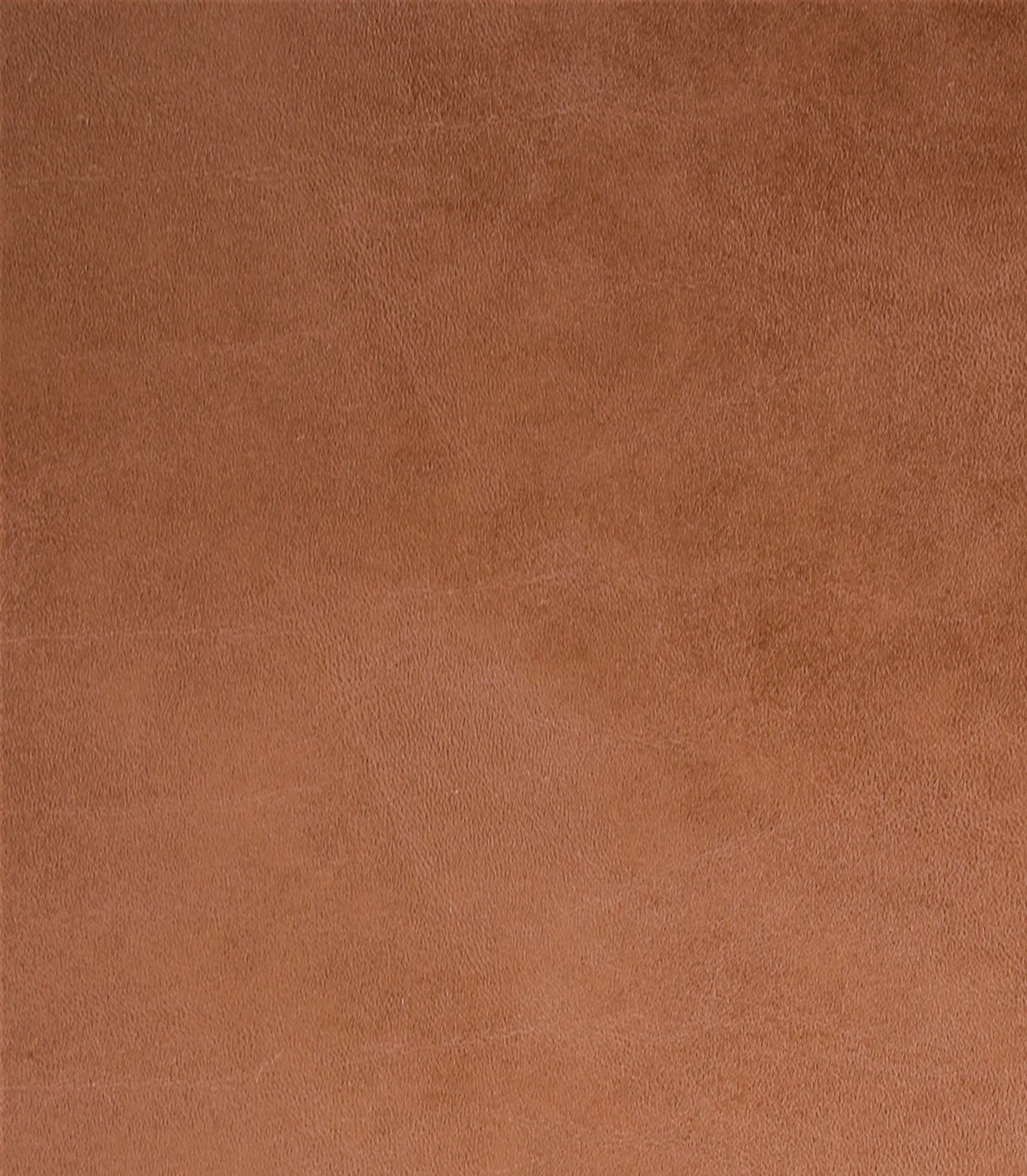 Toro · TORO-CAMEL