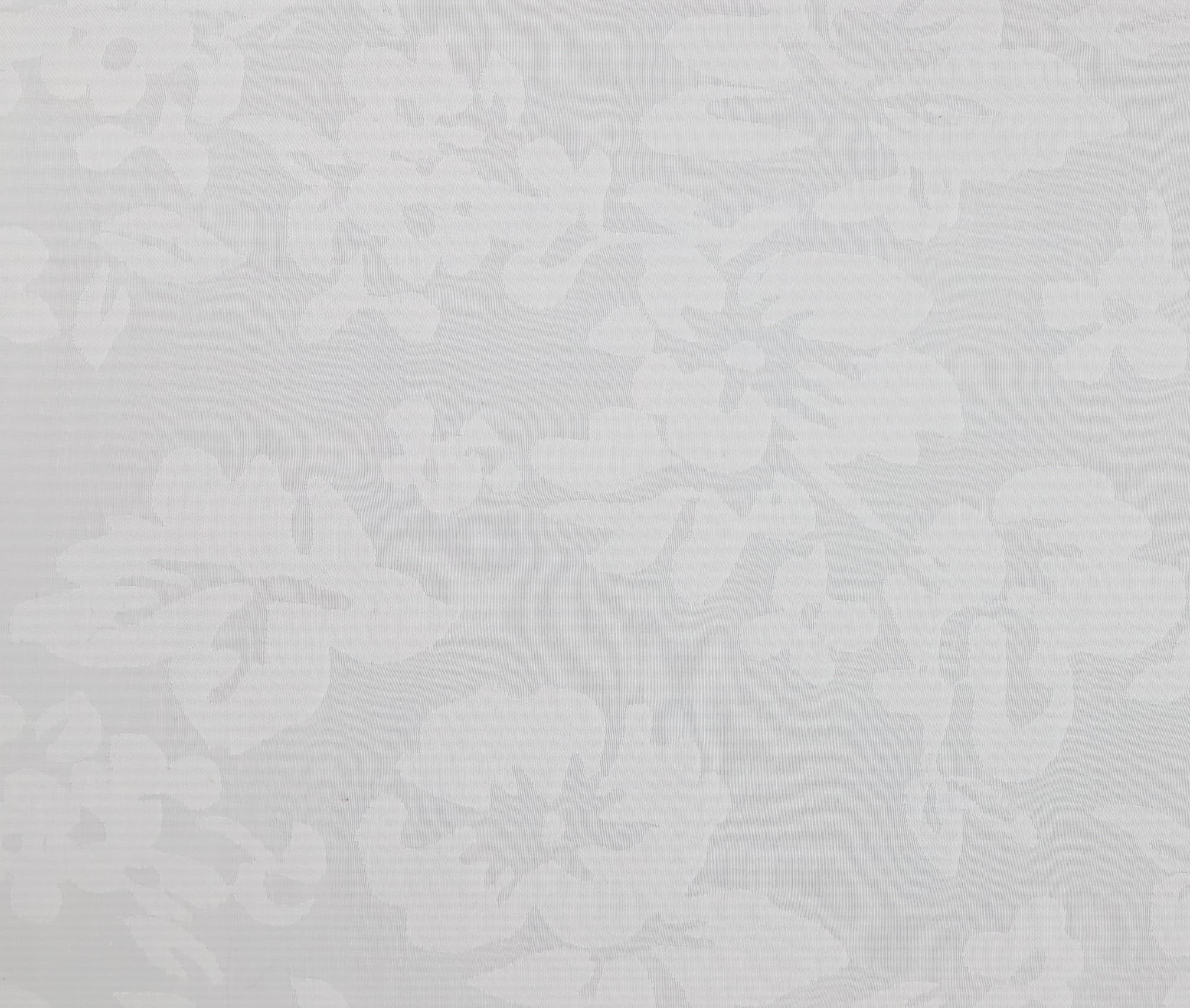 BLOOM 02