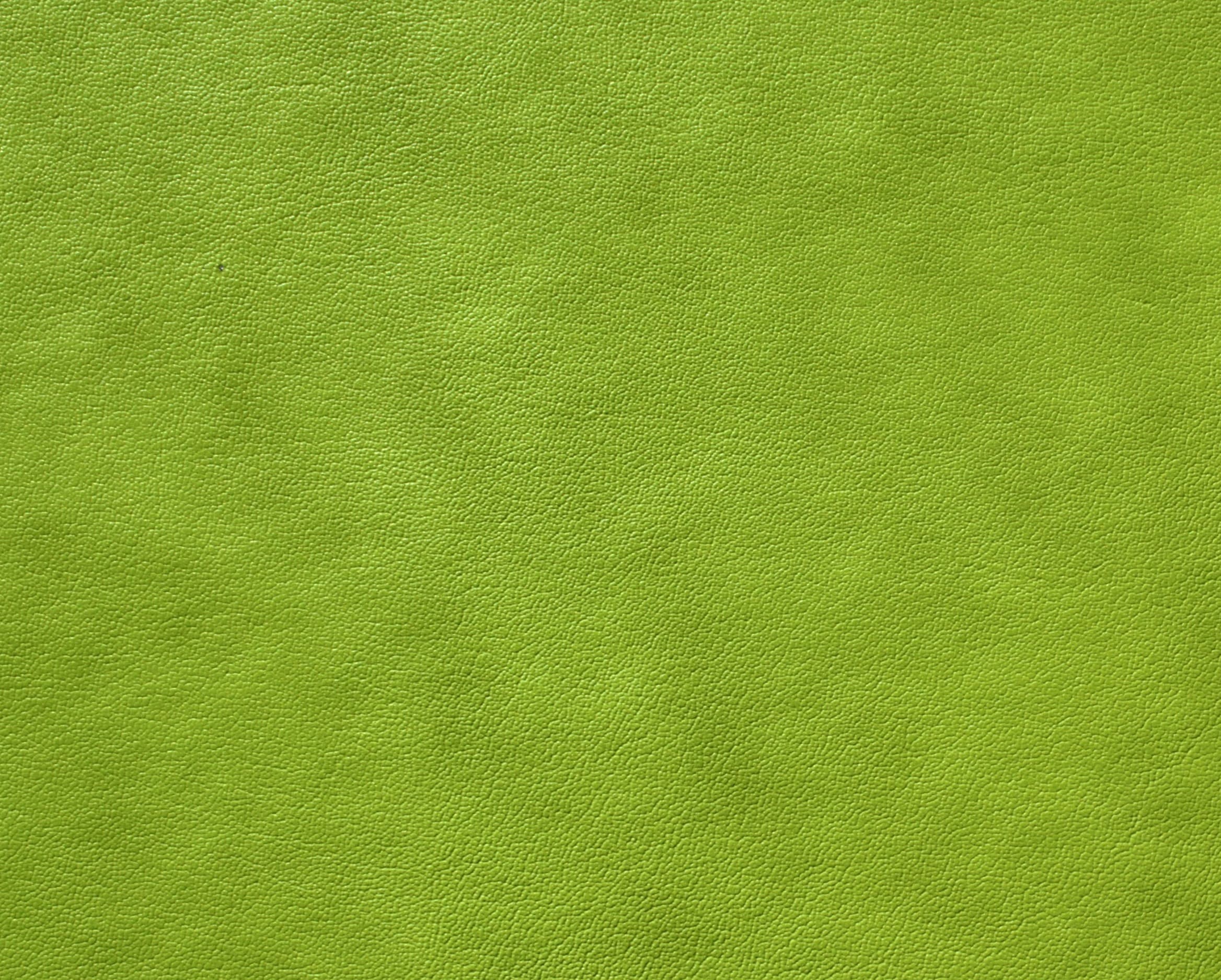 Zara · AY-GREEN