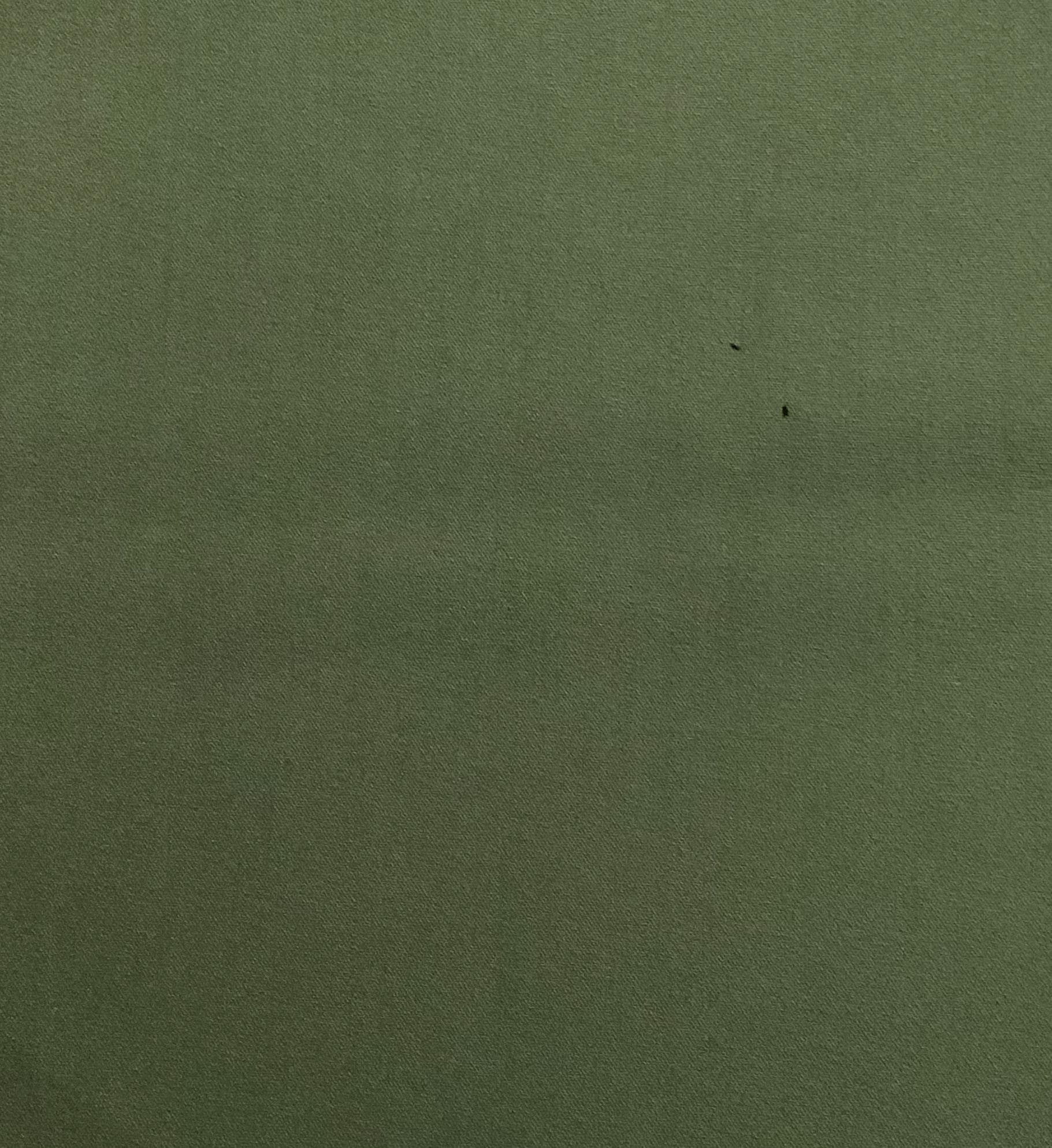 MARGARIDA · V1