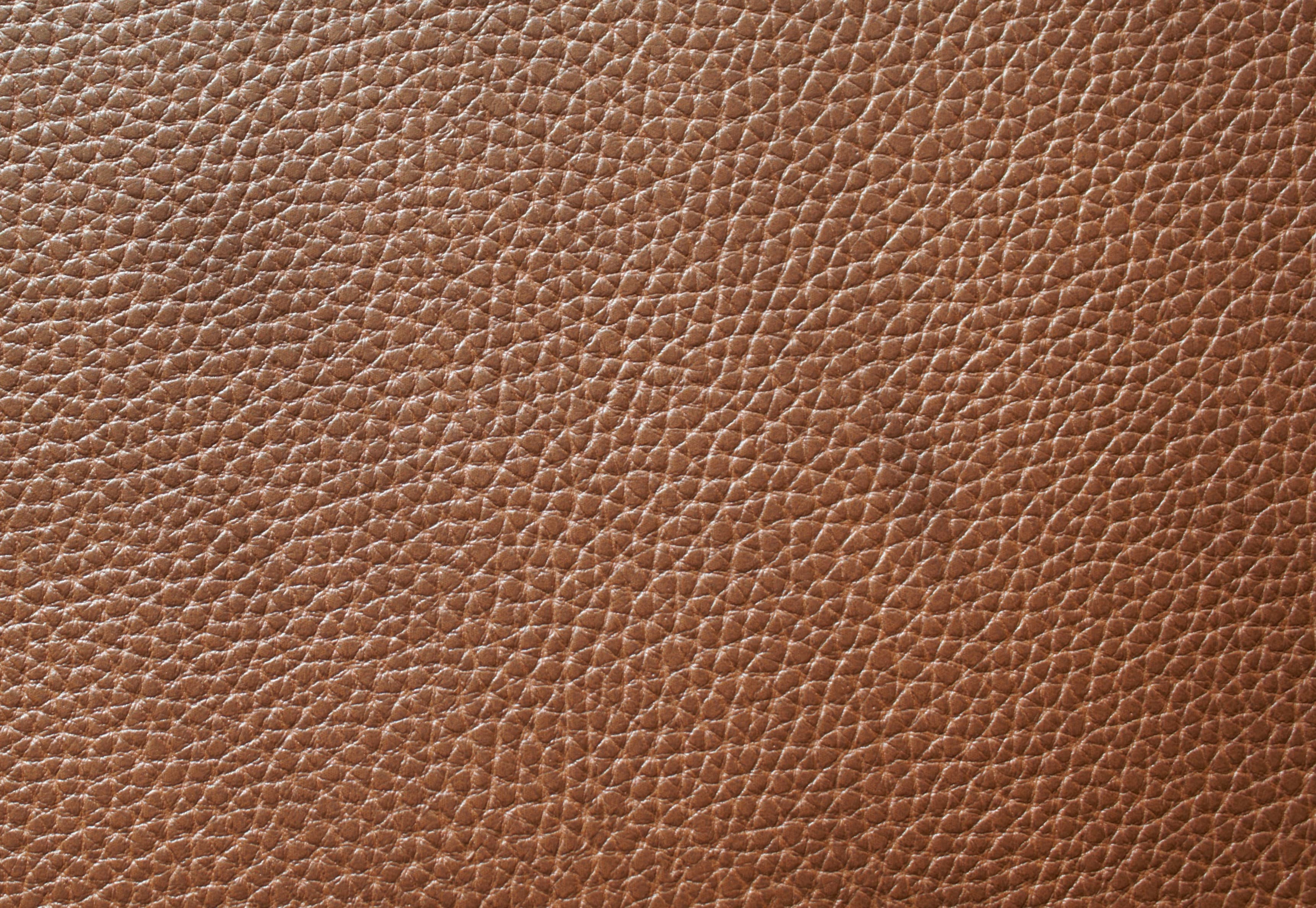 Lopez · CN-28661