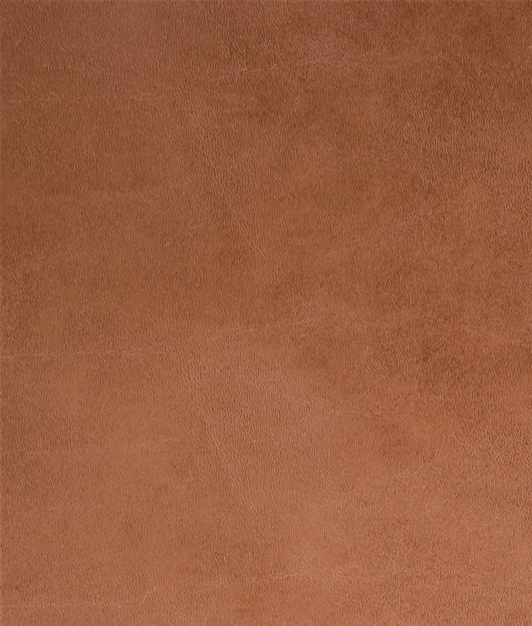 Toro · TORO-CAMEL