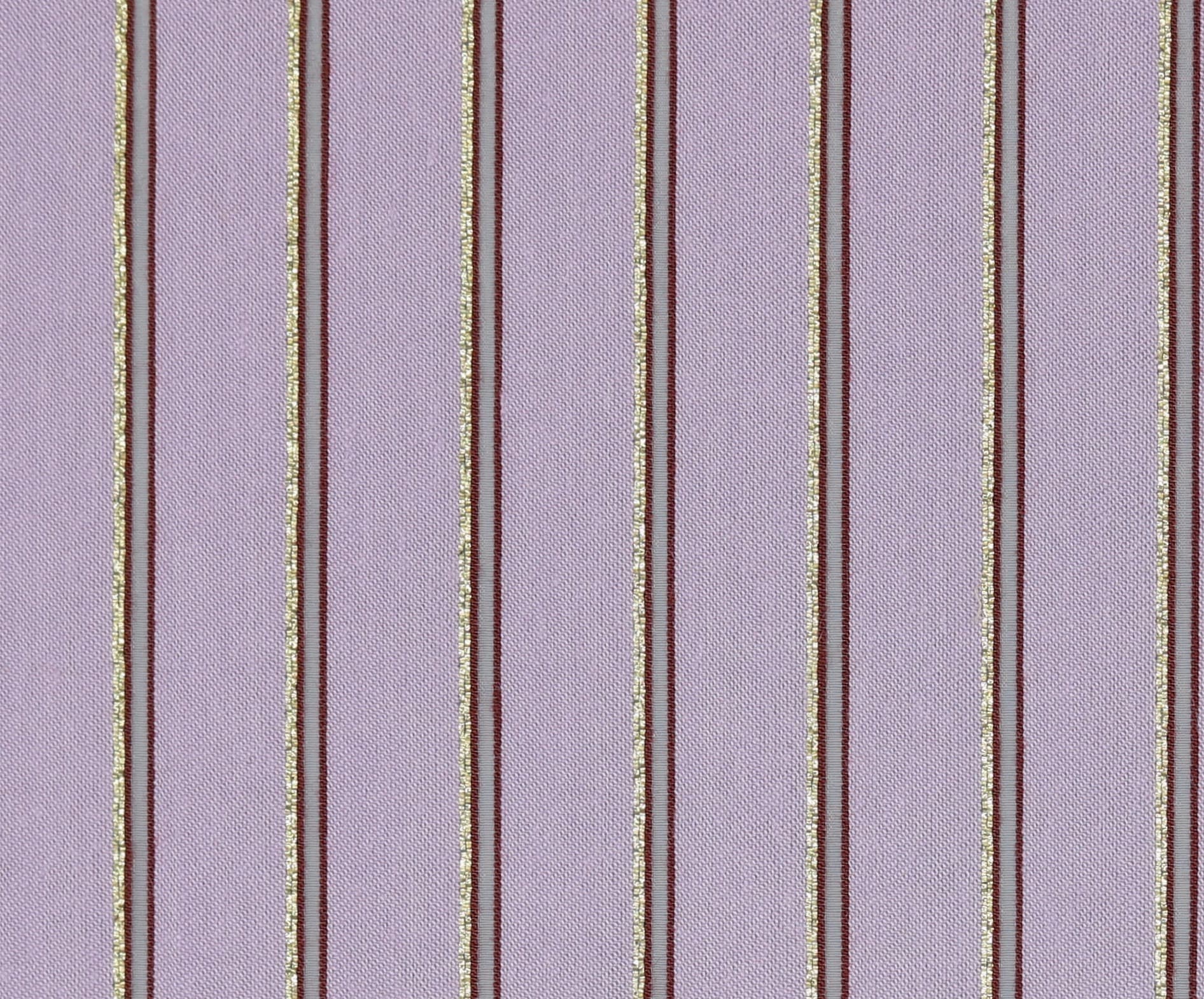 VASA 02 · V 01