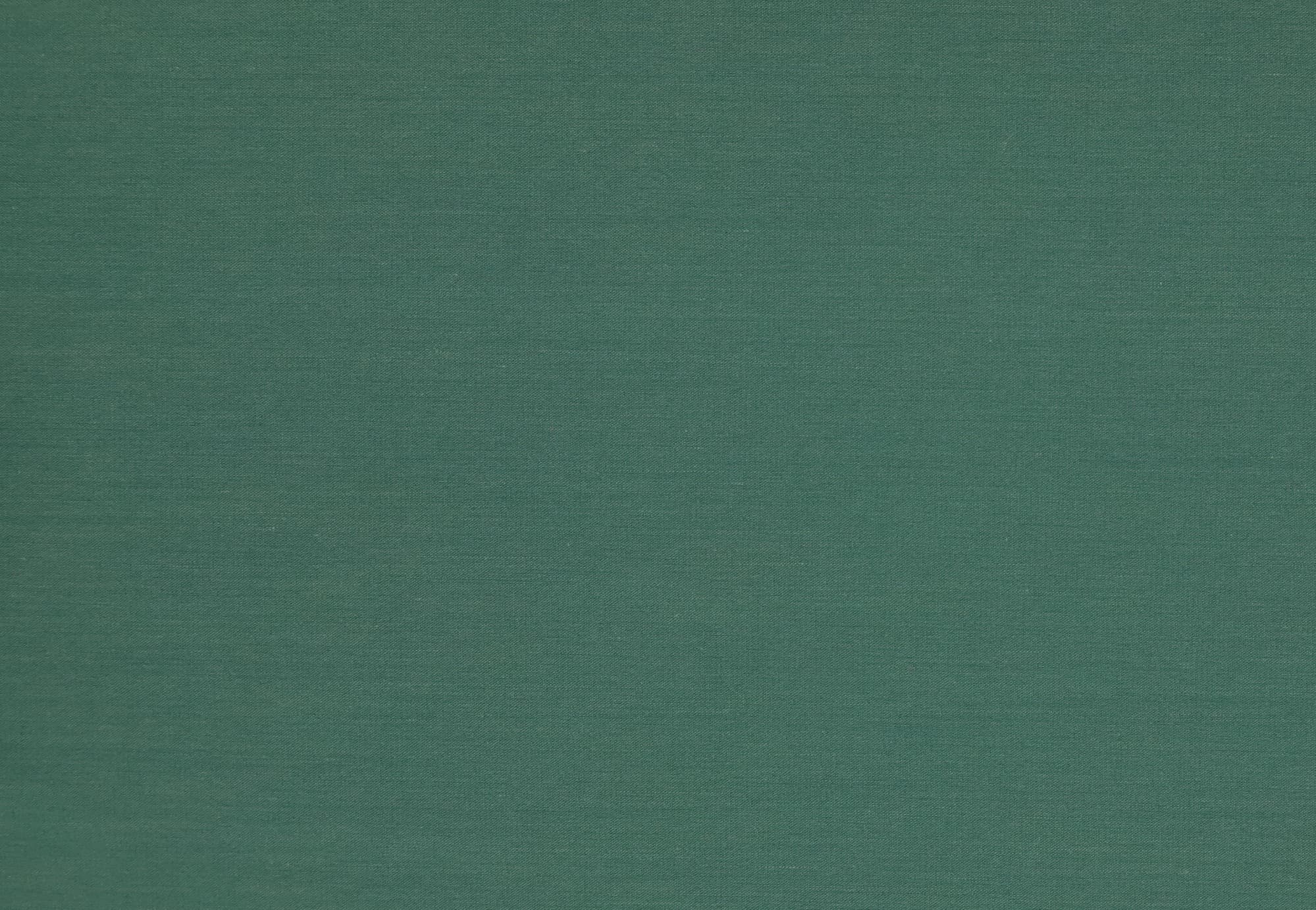 NEW POPLIN 01