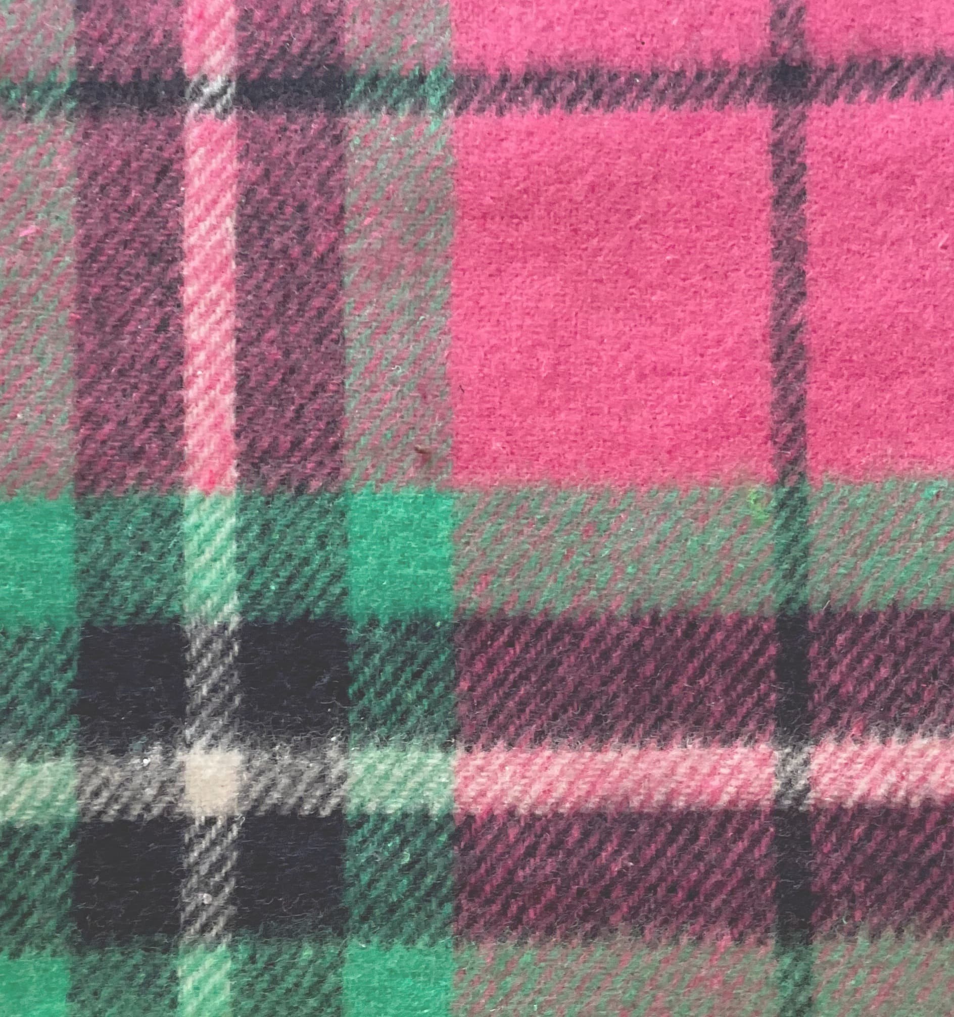 Chester · V2-Fushia